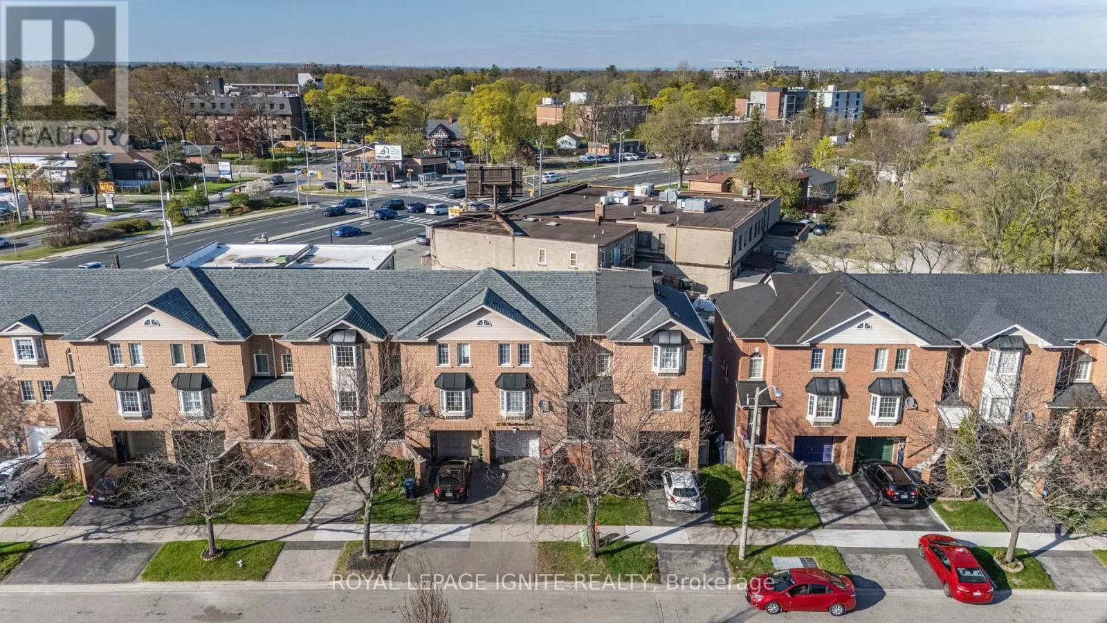 12 ELI SHACKLETON COURT