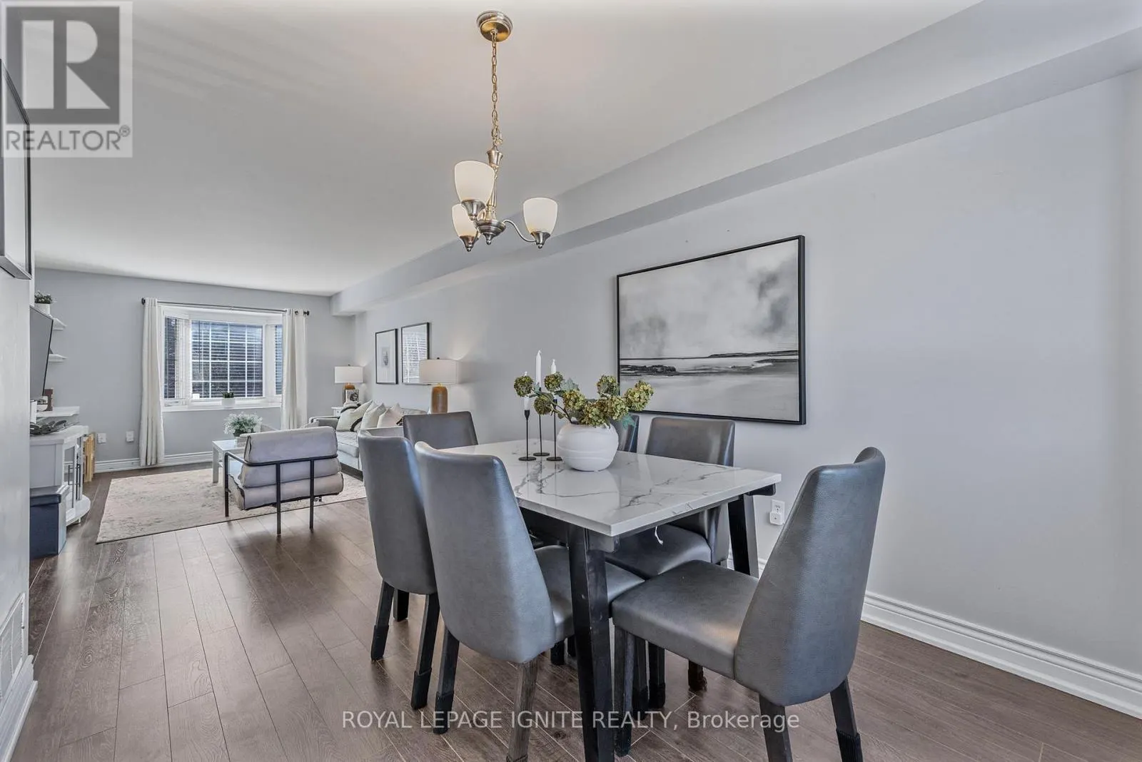12 ELI SHACKLETON COURT