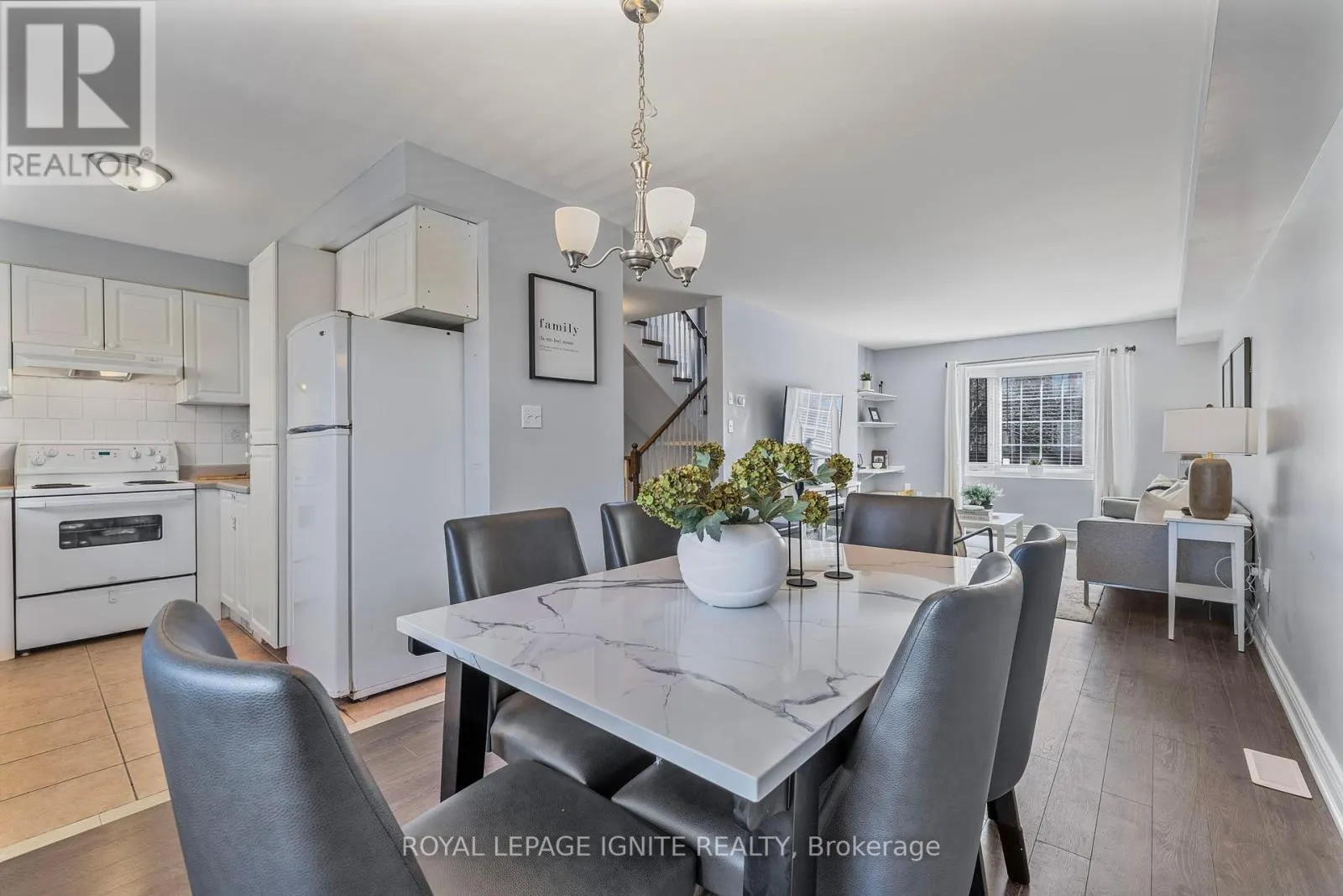12 ELI SHACKLETON COURT