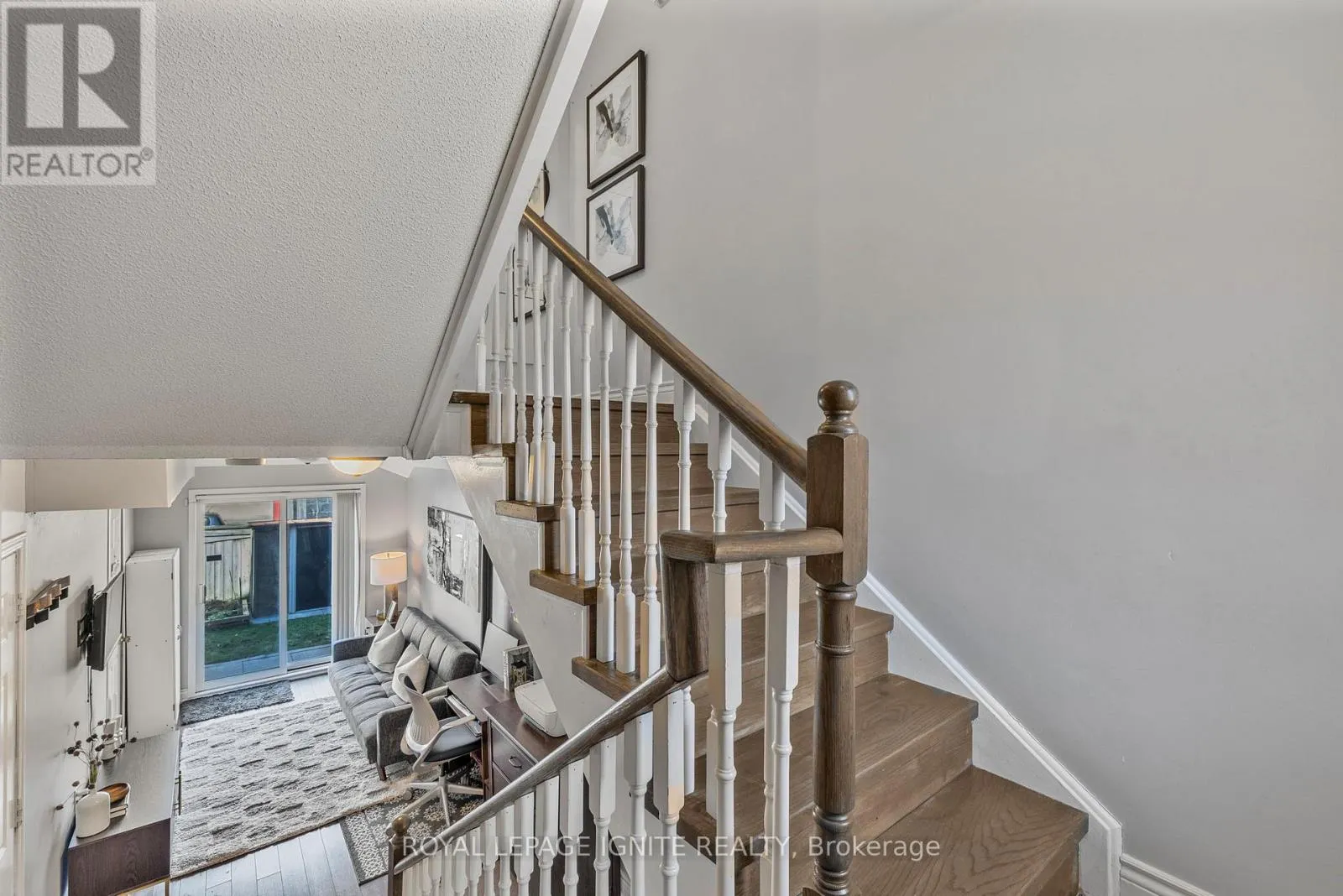 12 ELI SHACKLETON COURT
