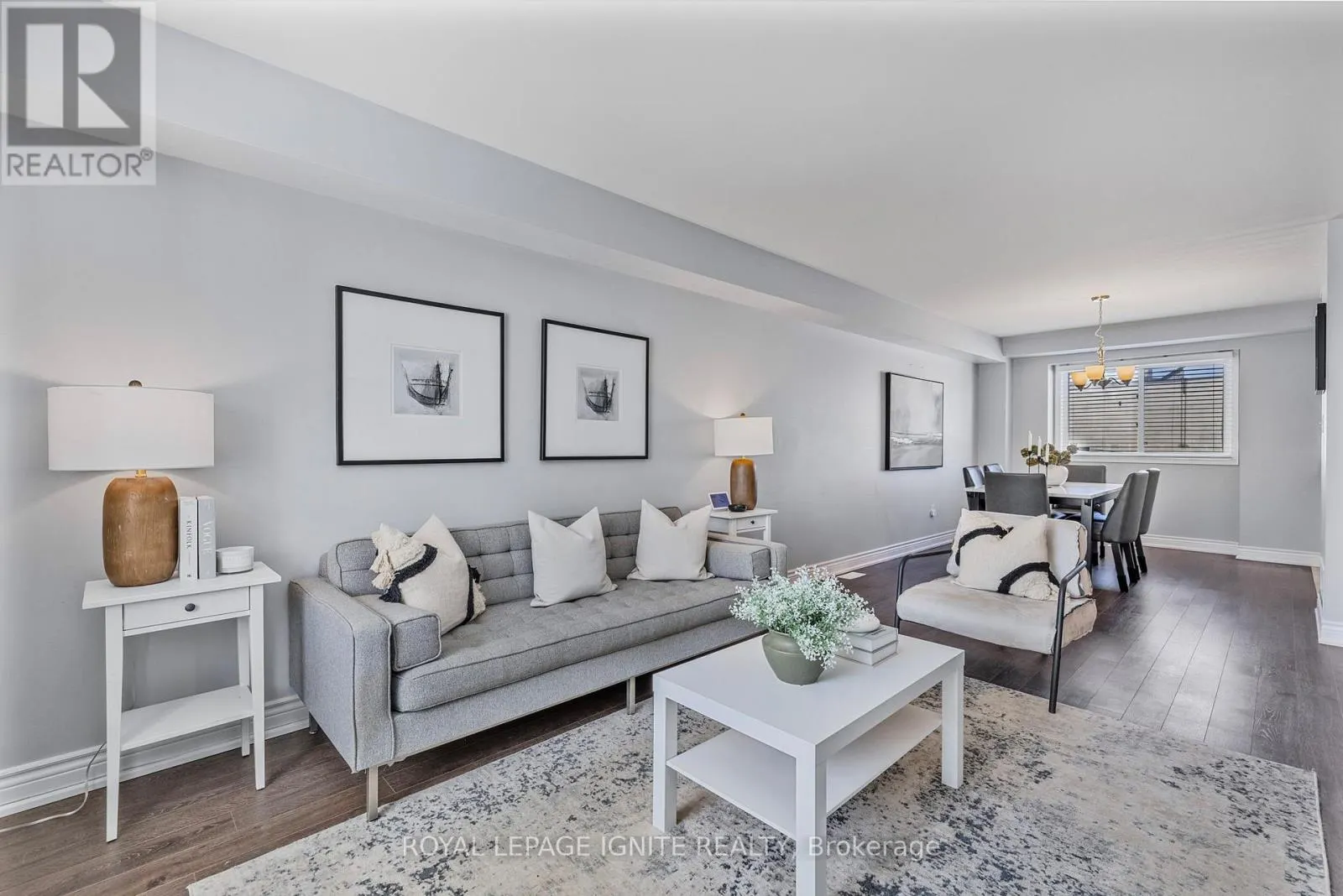 12 ELI SHACKLETON COURT