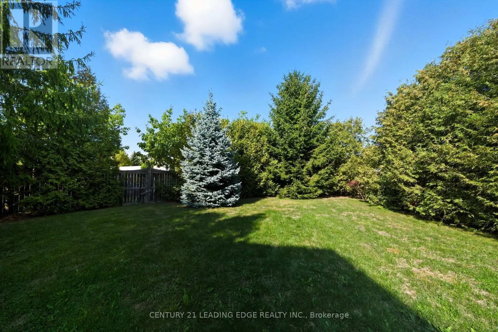 61 SCADDING AVENUE