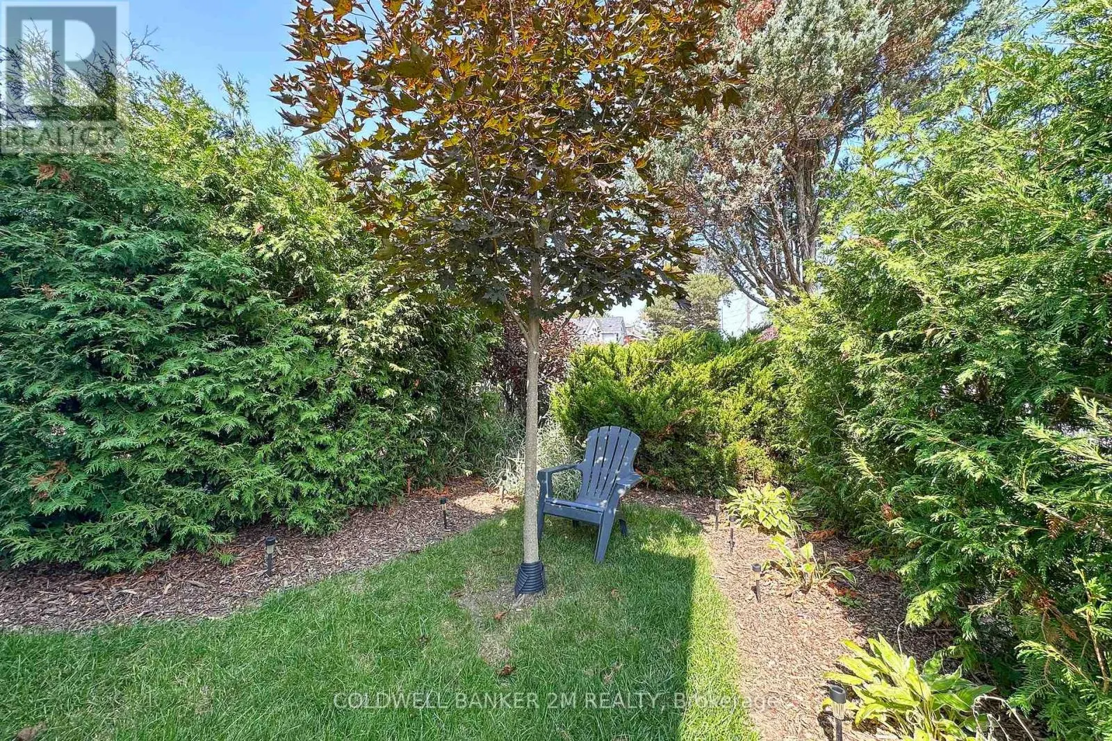 303 MCDONALD STREET
