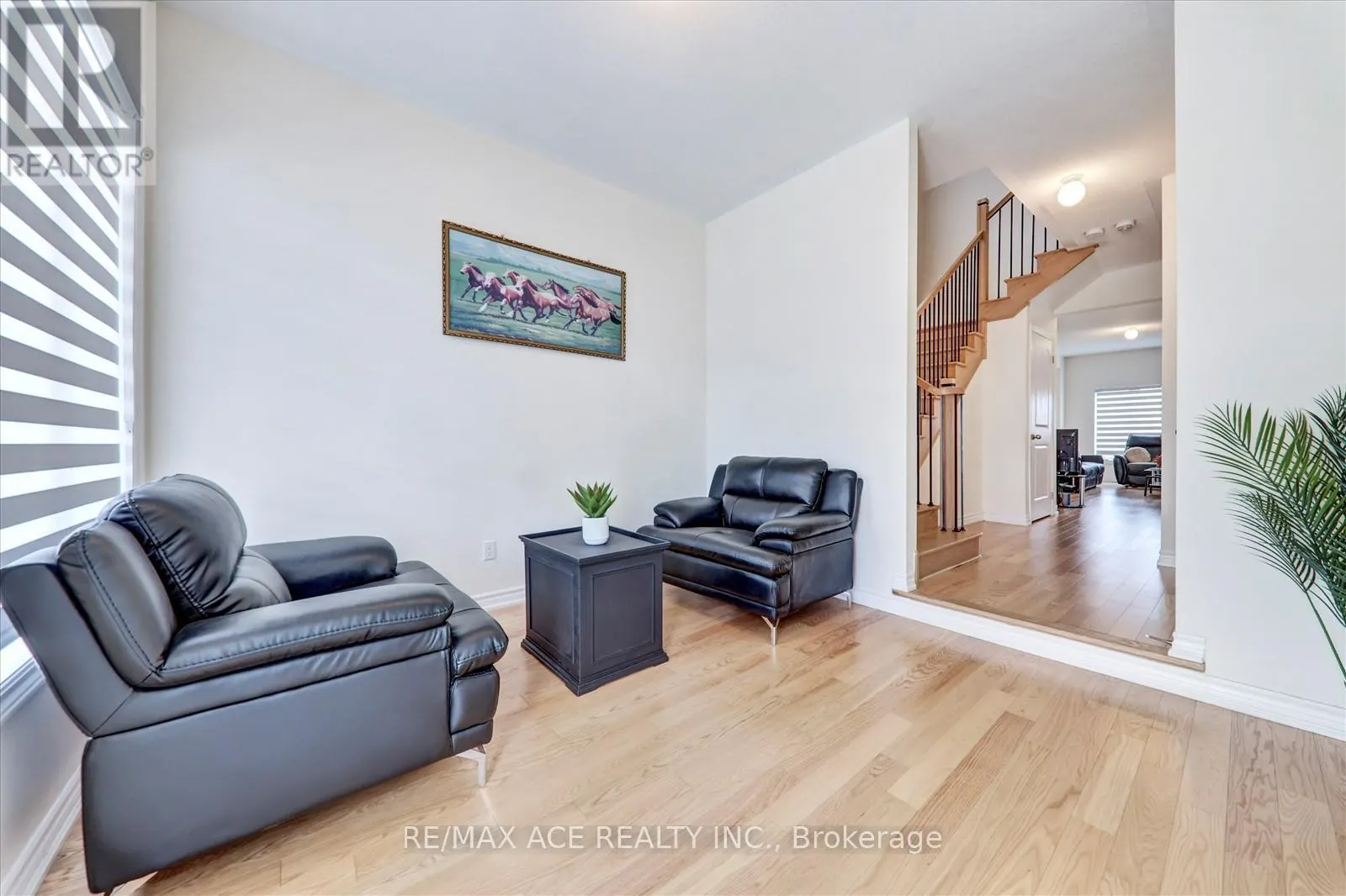 1097 CAMEO STREET