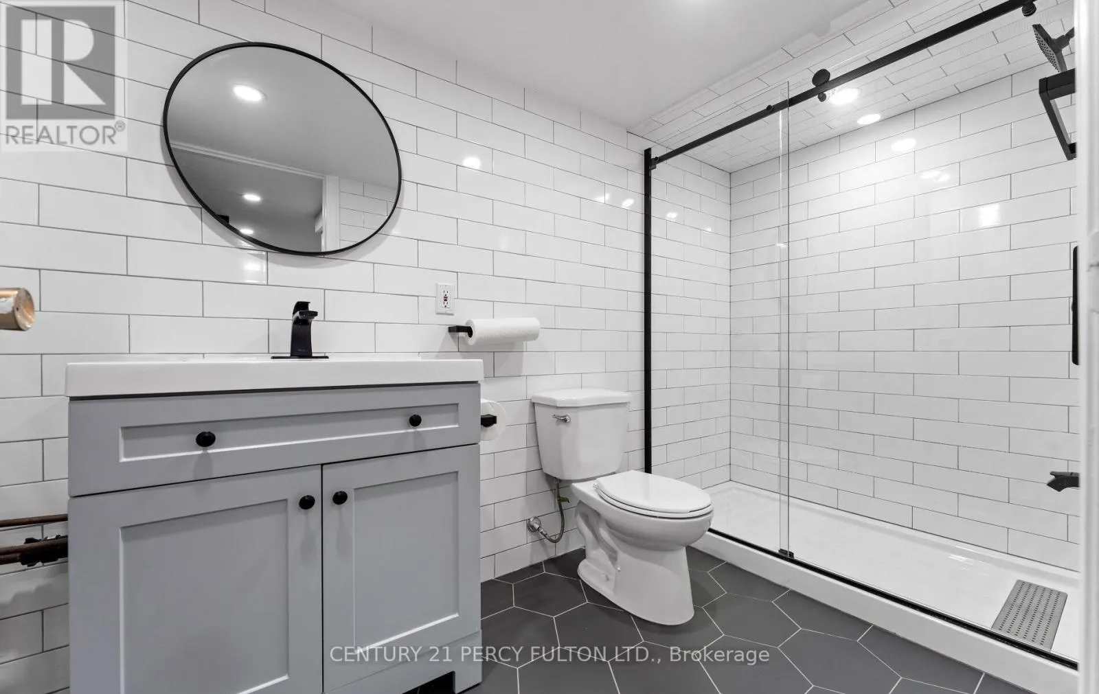 BASEMENT - 228 BROCK STREET N