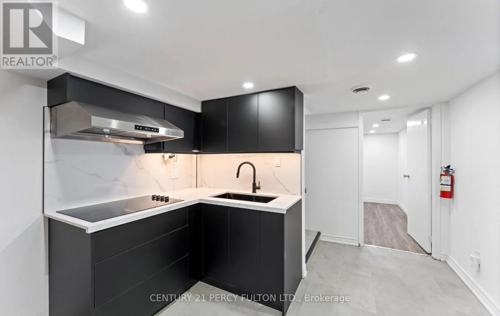 BASEMENT - 228 BROCK STREET N