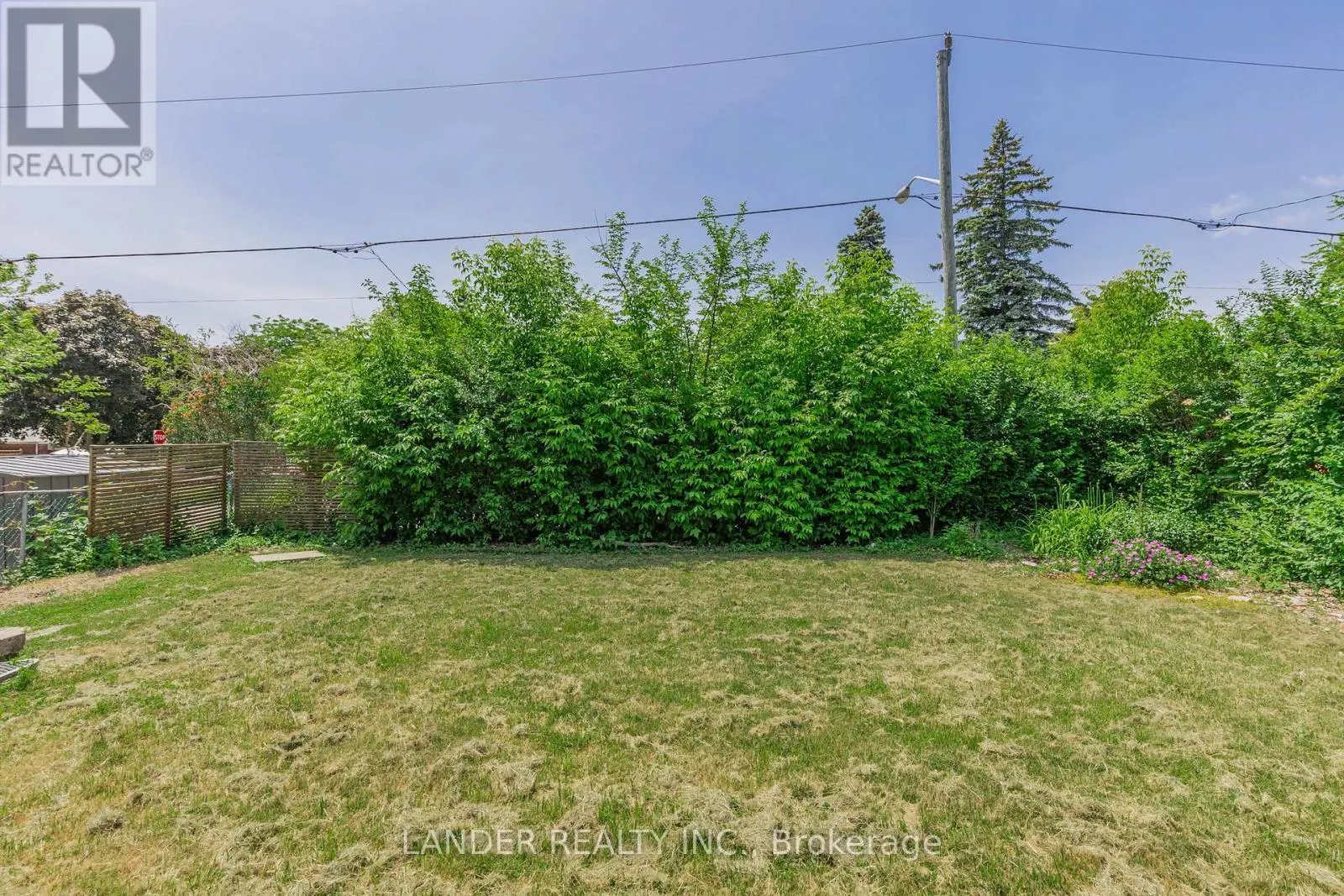 80 MINERVA AVENUE