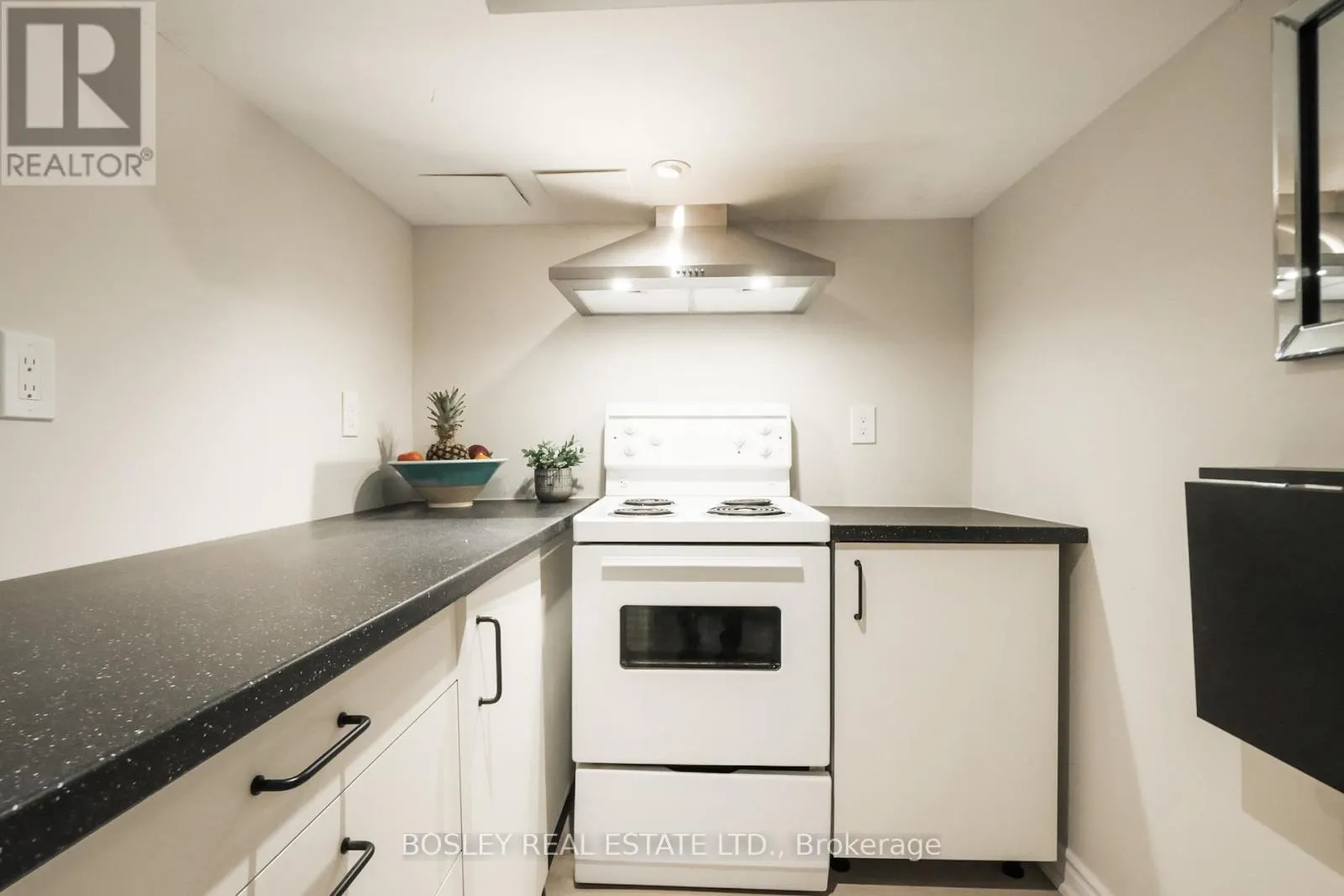 LOWER - 169 LANGLEY AVENUE