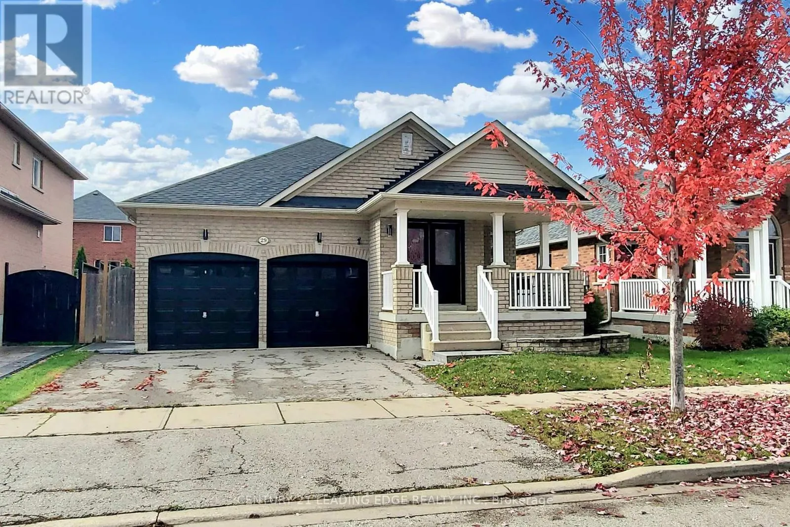 29 PARDON AVENUE