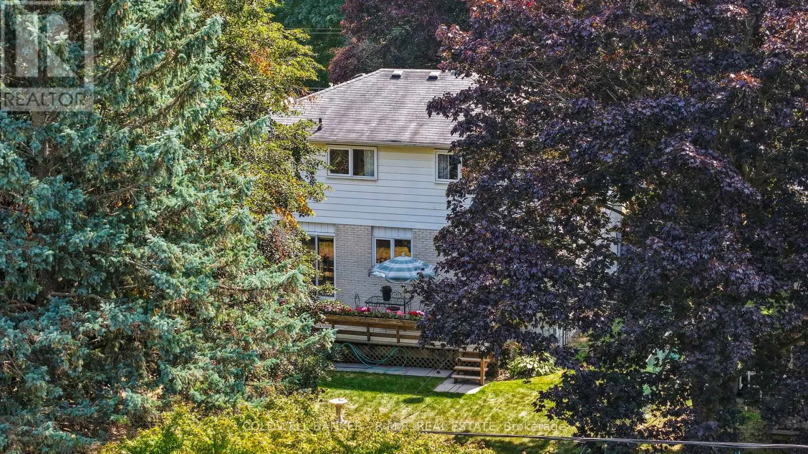 6 CARWIN CRESCENT