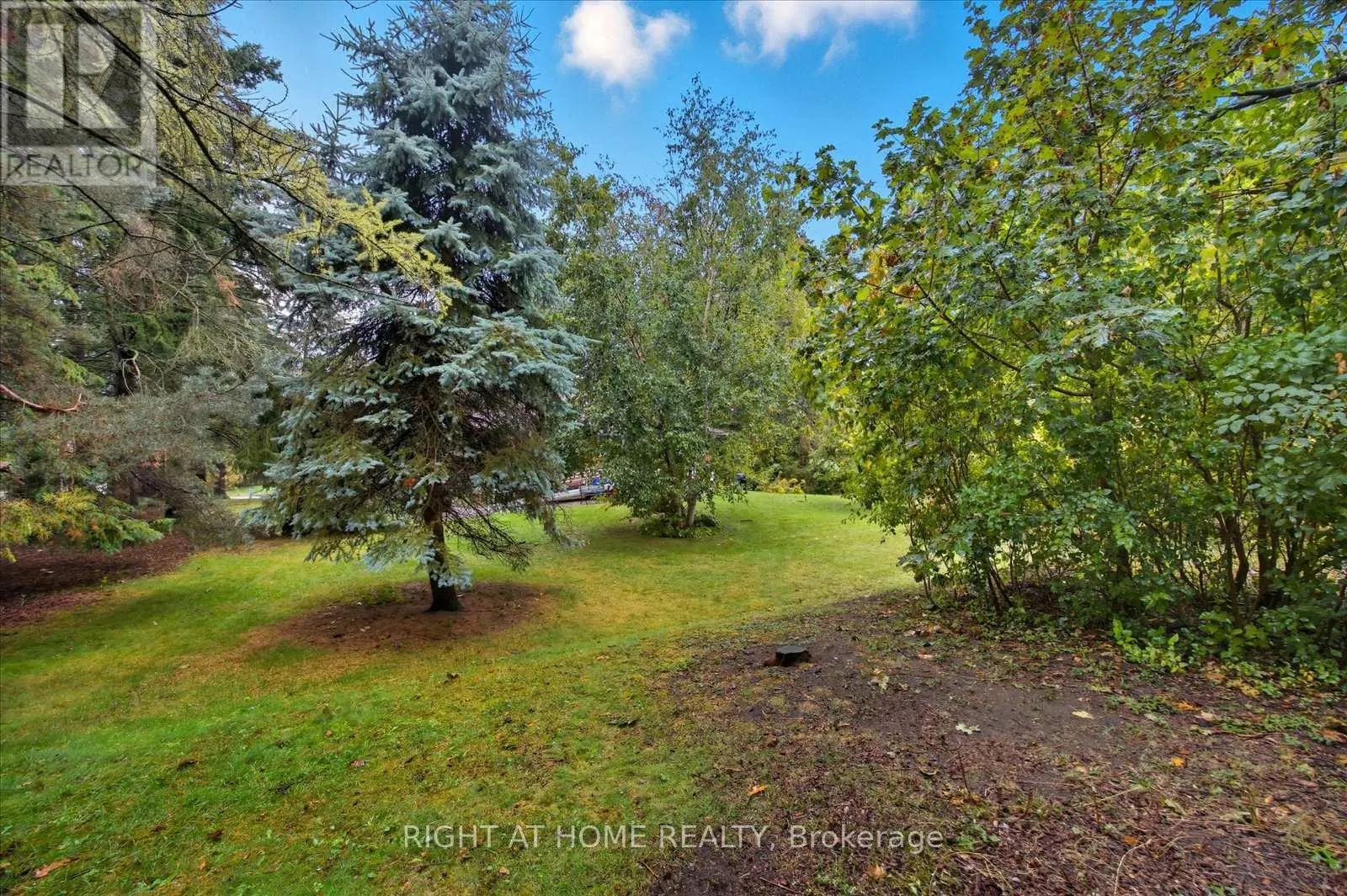 81 MEADOW CRESCENT