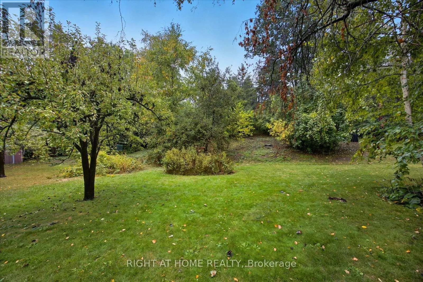 81 MEADOW CRESCENT