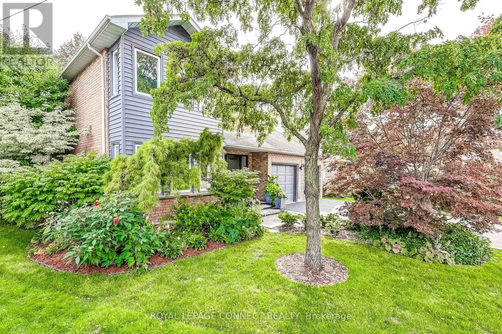545 CHARNWOOD COURT
