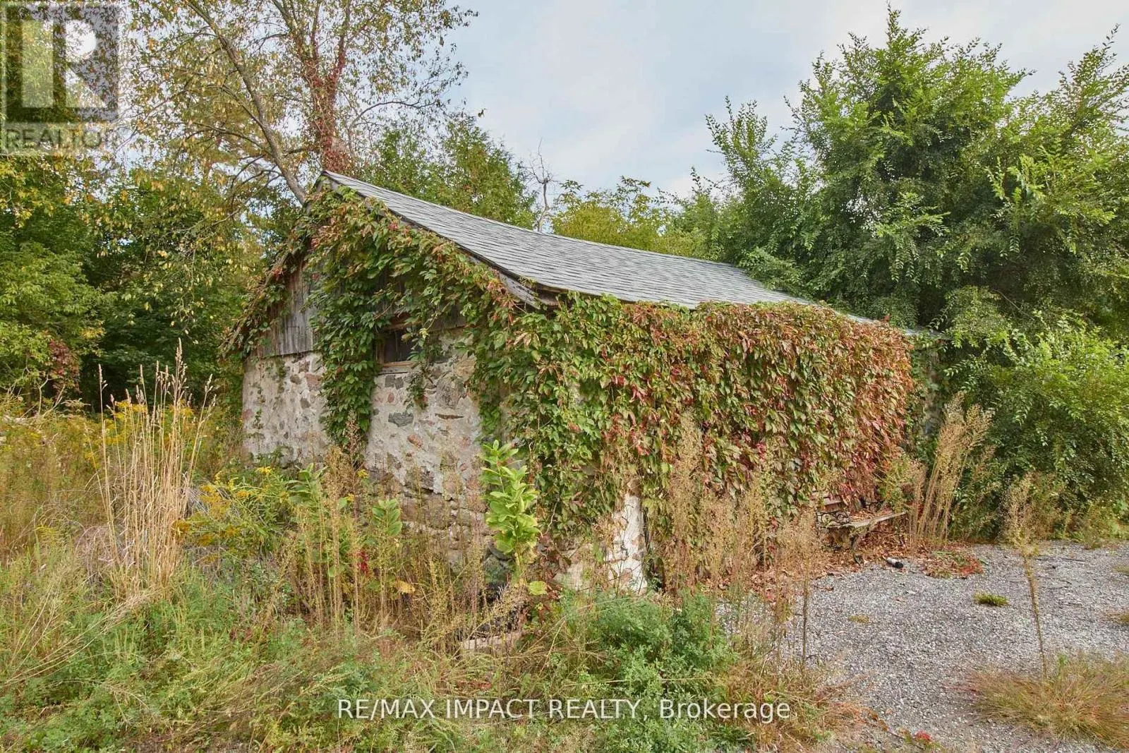 10249 OLD SCUGOG ROAD