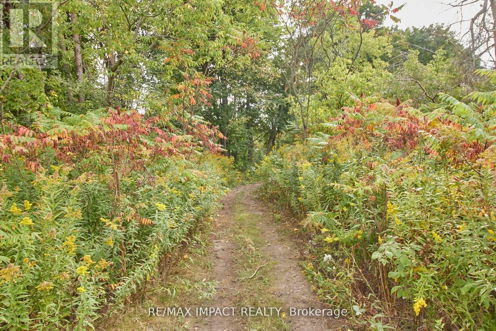 10249 OLD SCUGOG ROAD