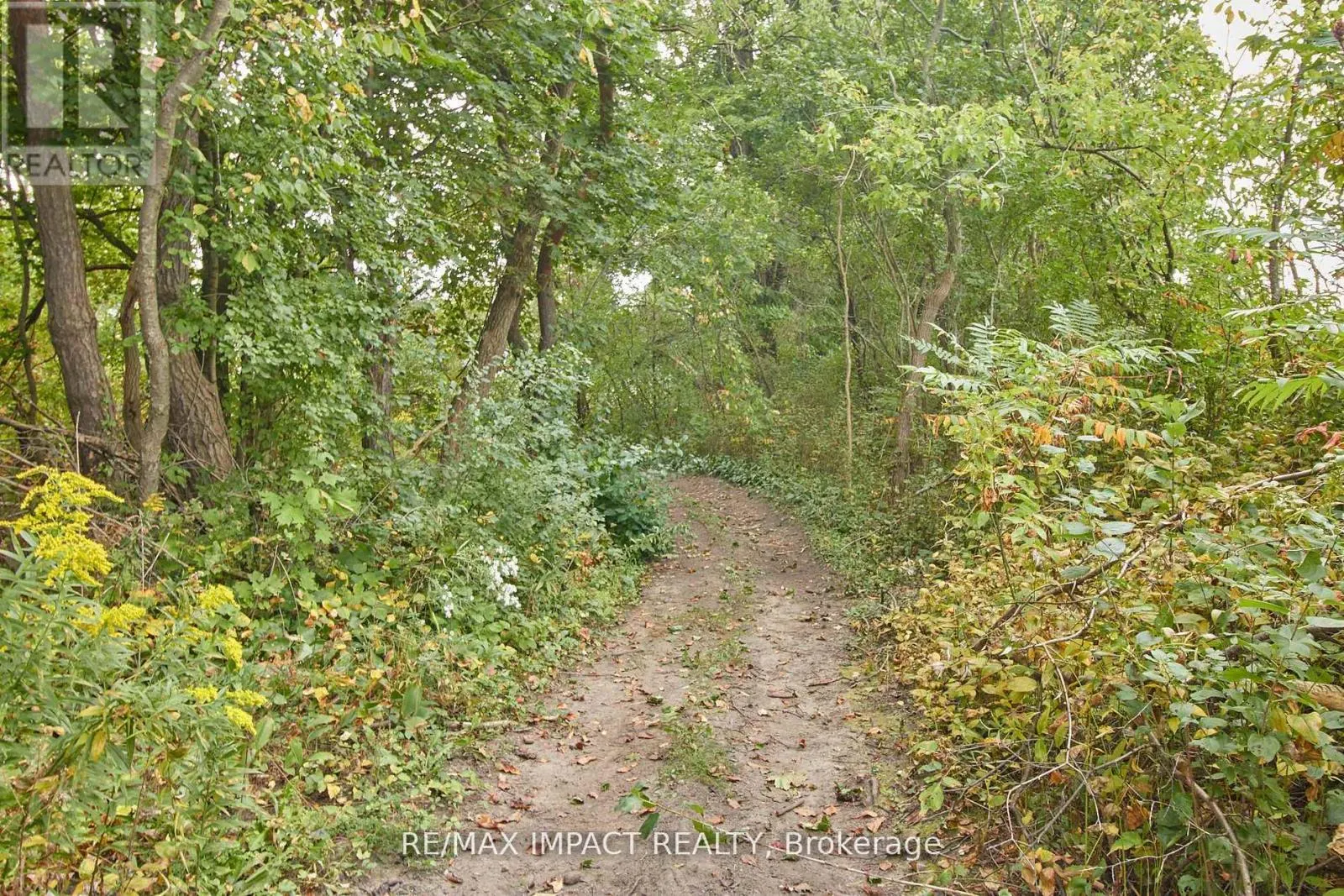 10249 OLD SCUGOG ROAD