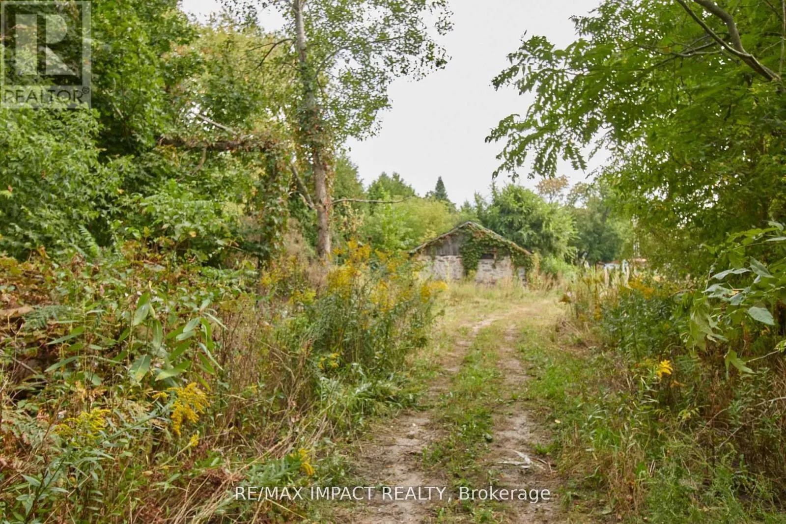 10249 OLD SCUGOG ROAD