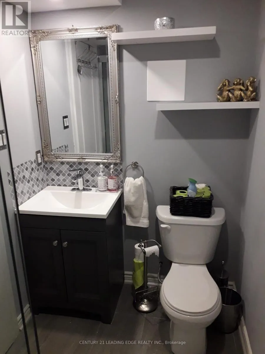 BASEMENT - 45 PROMENADE DRIVE