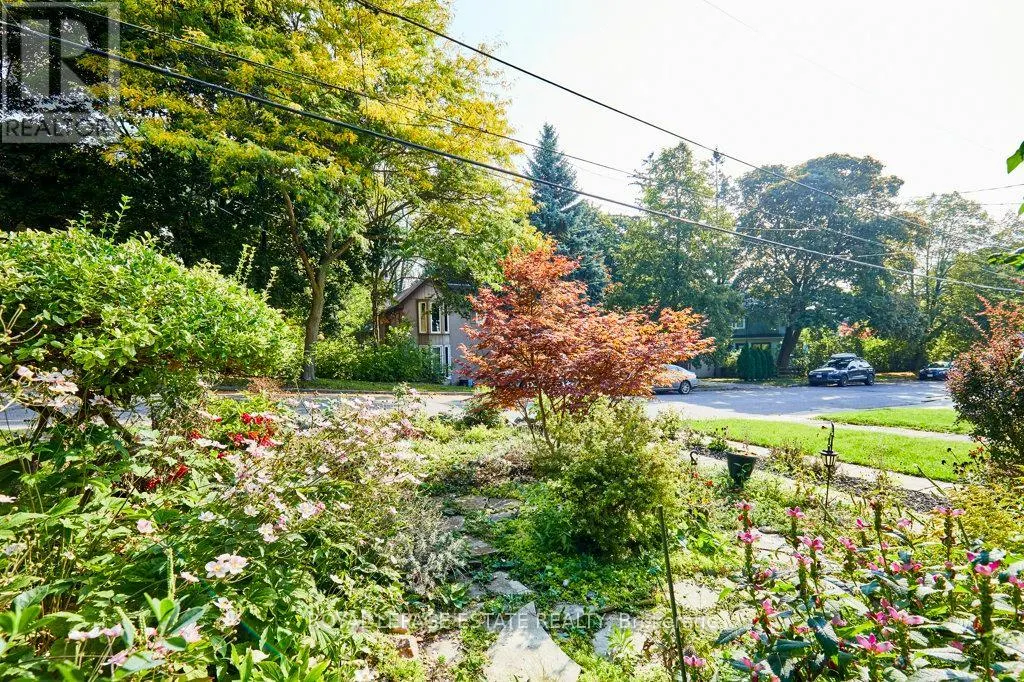 44 BIRCHMOUNT ROAD