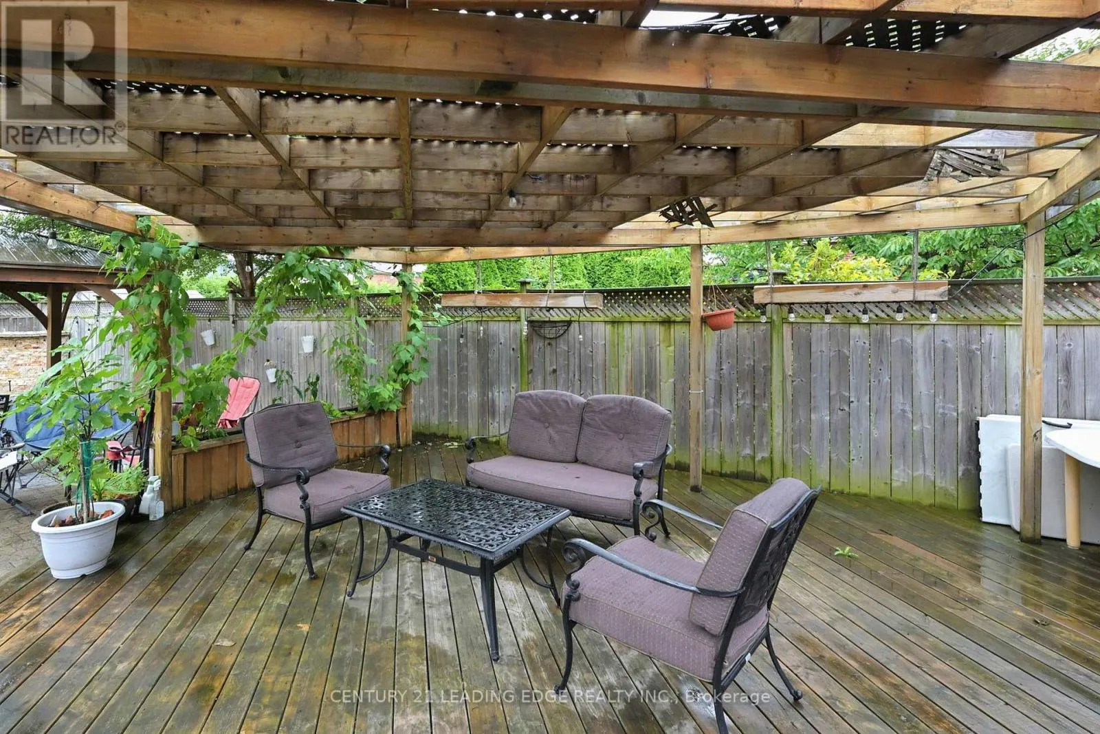 11 BELLVARE CRESCENT