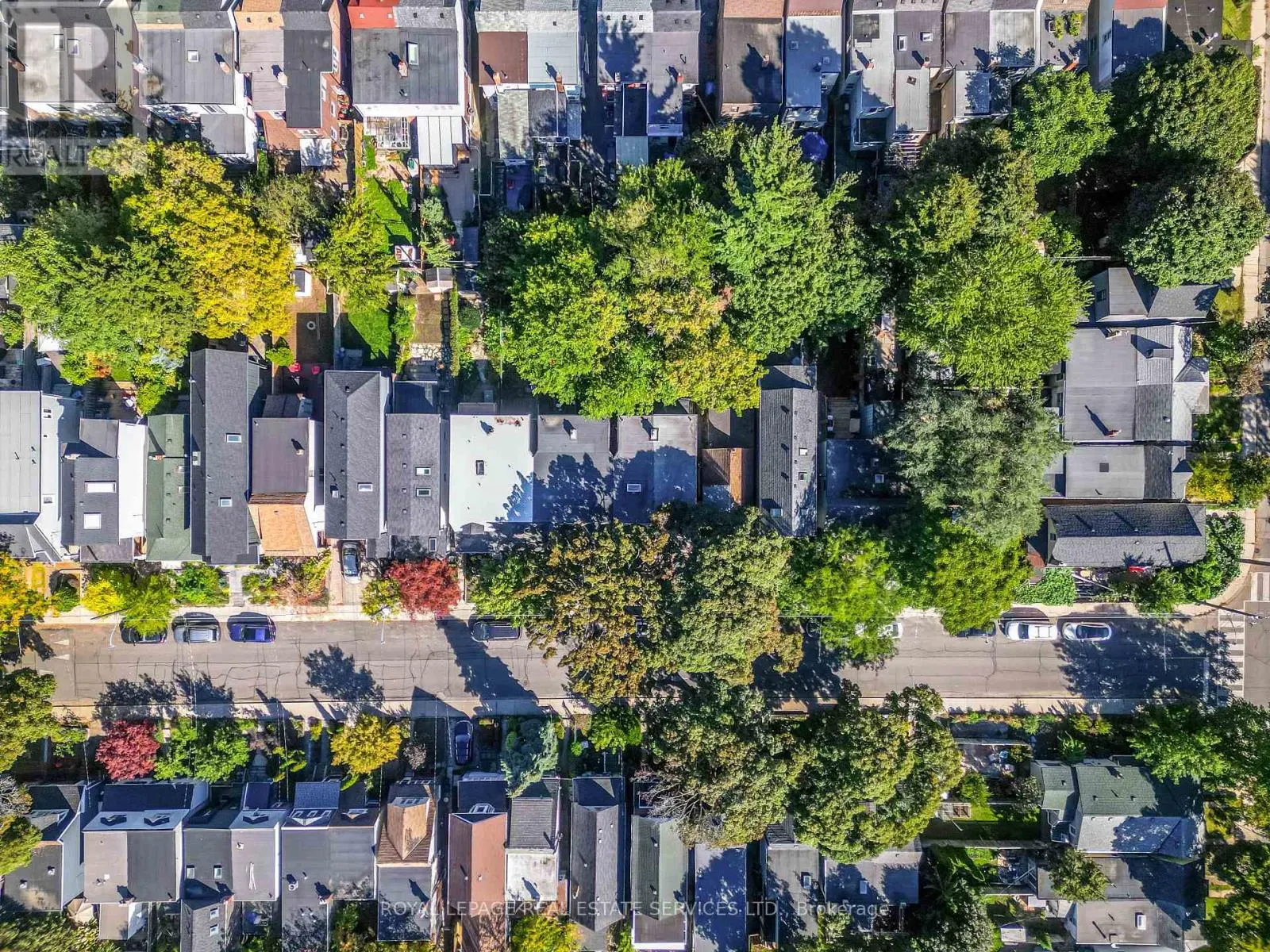 65 DRAYTON AVENUE