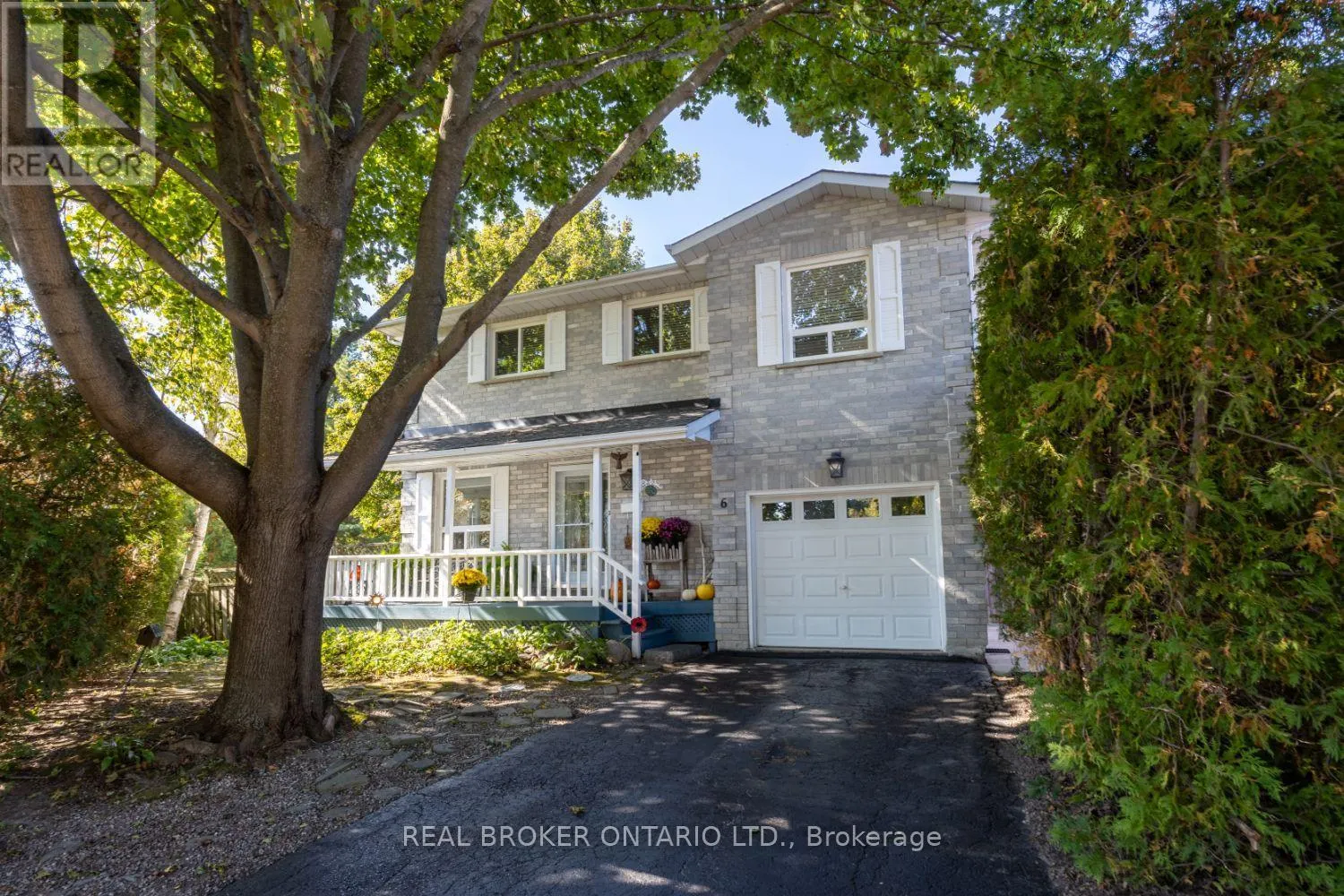6 ANDREW COURT