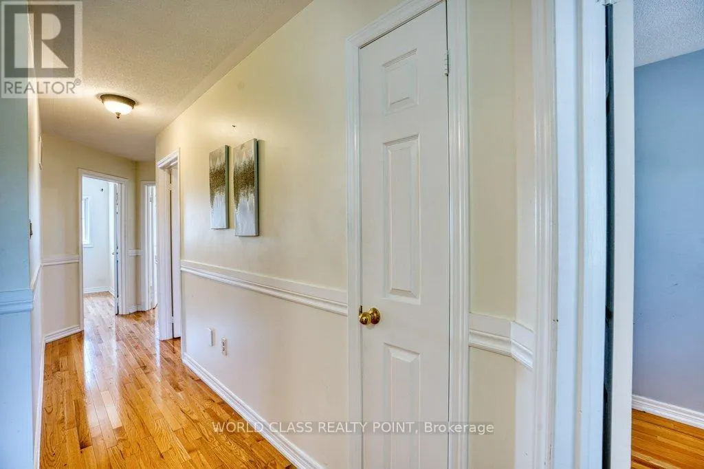 3 HESHAM DRIVE