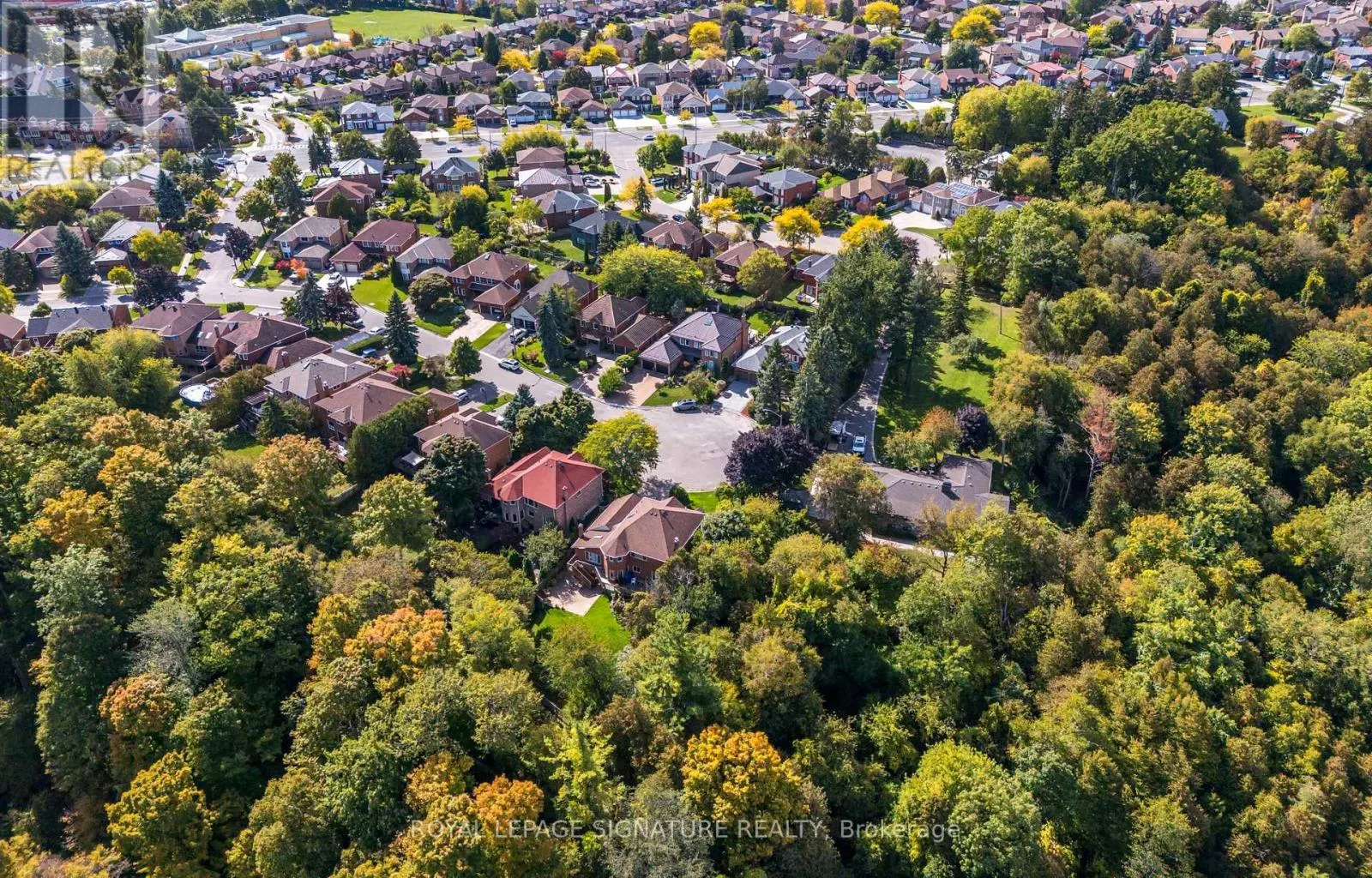 11 ROYAL ROUGE TRAIL