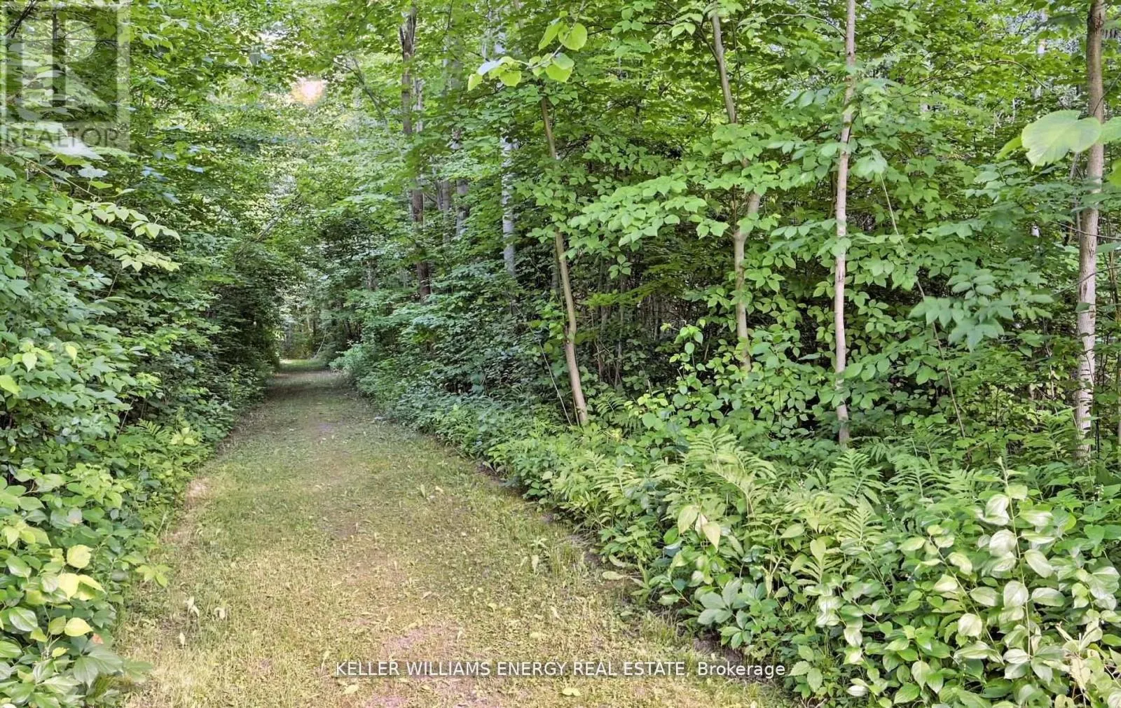 19375 MISSISSAUGAS TRAIL
