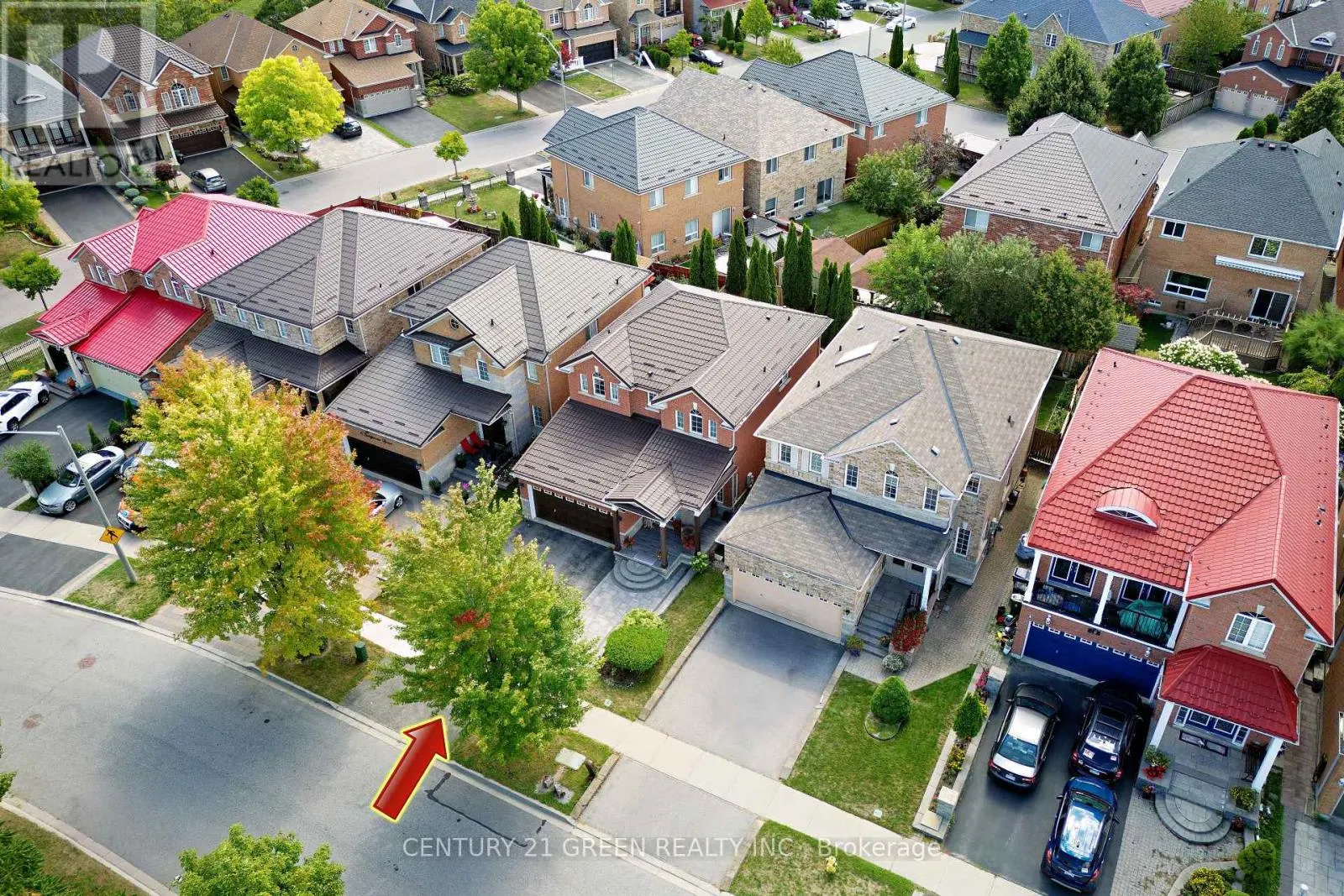 8 LAMPMAN DRIVE