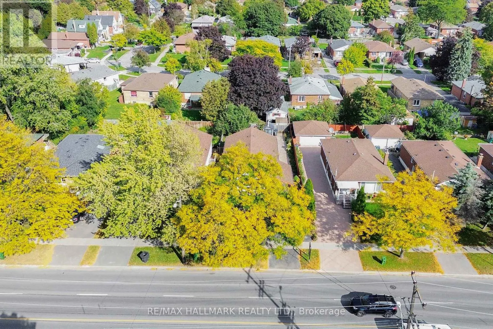 1393 BIRCHMOUNT ROAD