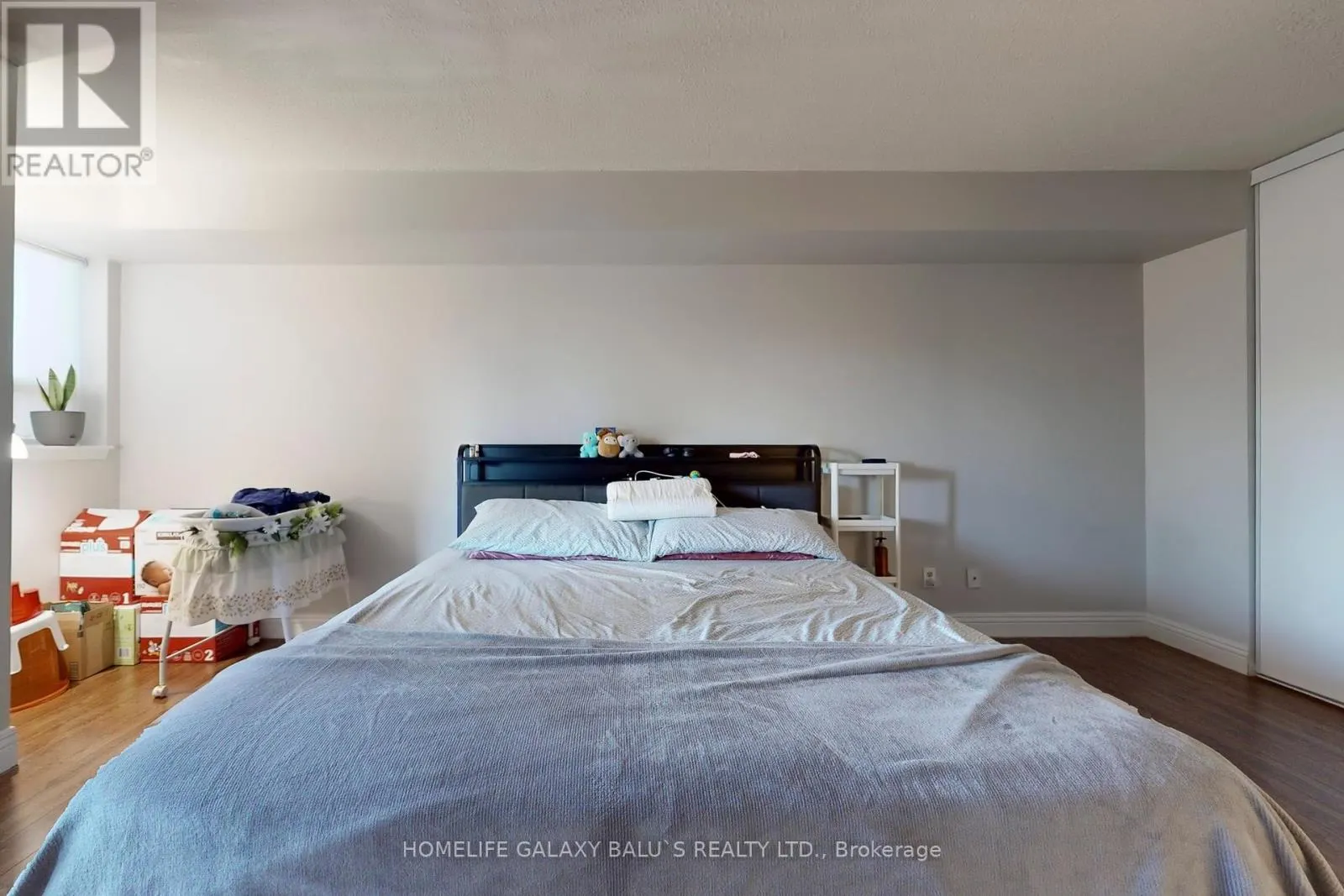 307 - 2460 EGLINTON AVENUE E