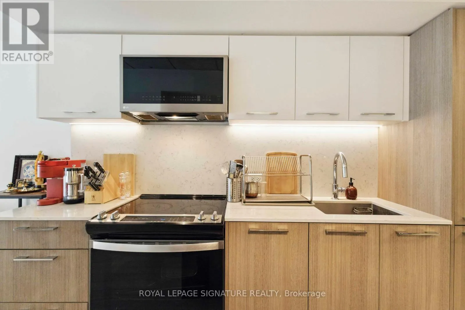 313 - 665 QUEEN STREET E