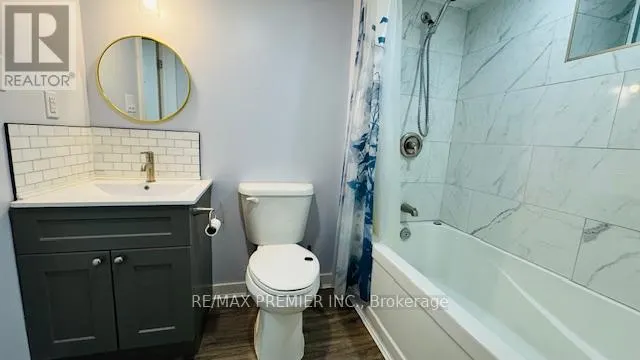 BASEMENT - 306 ROSEDALE DRIVE