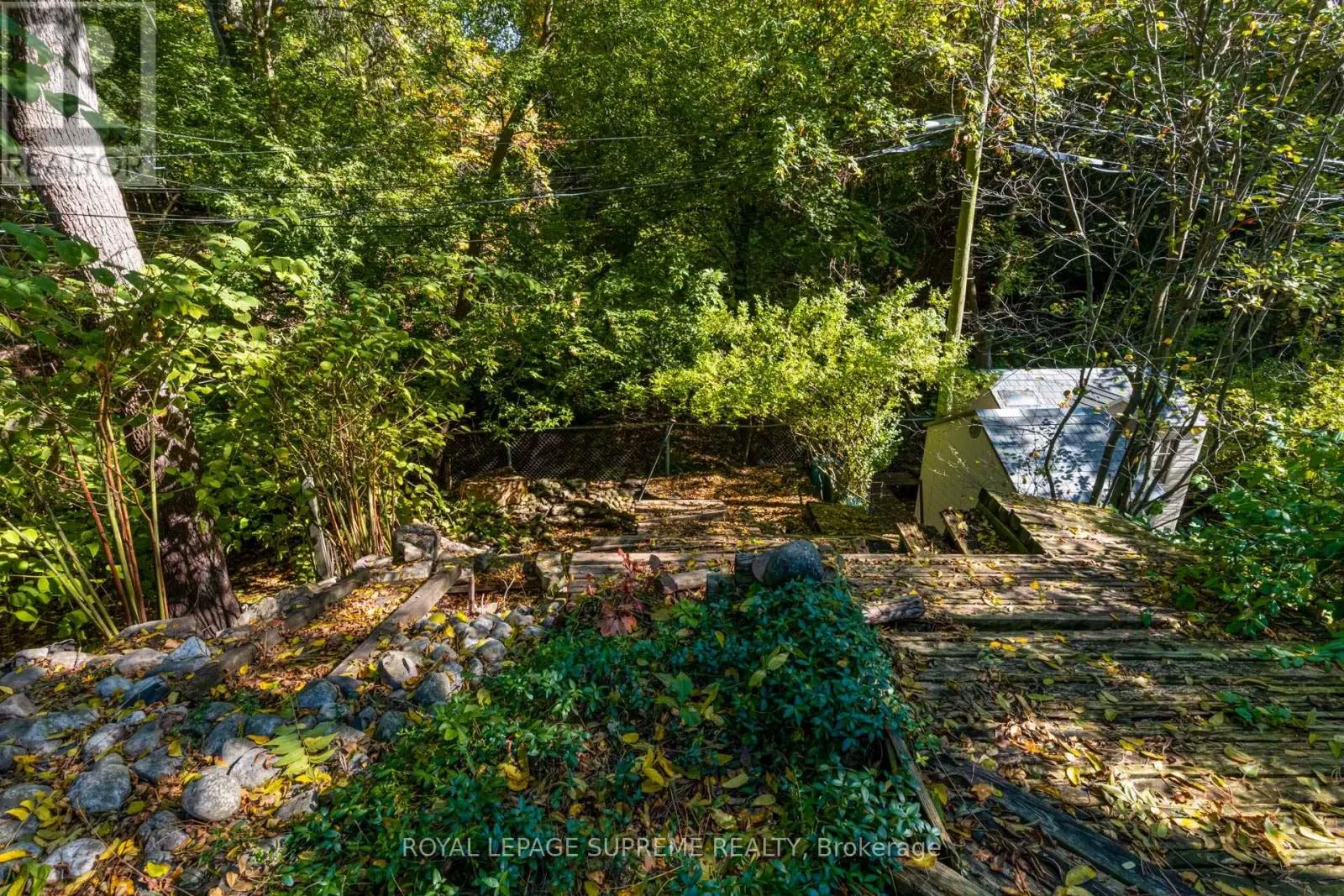 11 WEST LYNN AVENUE