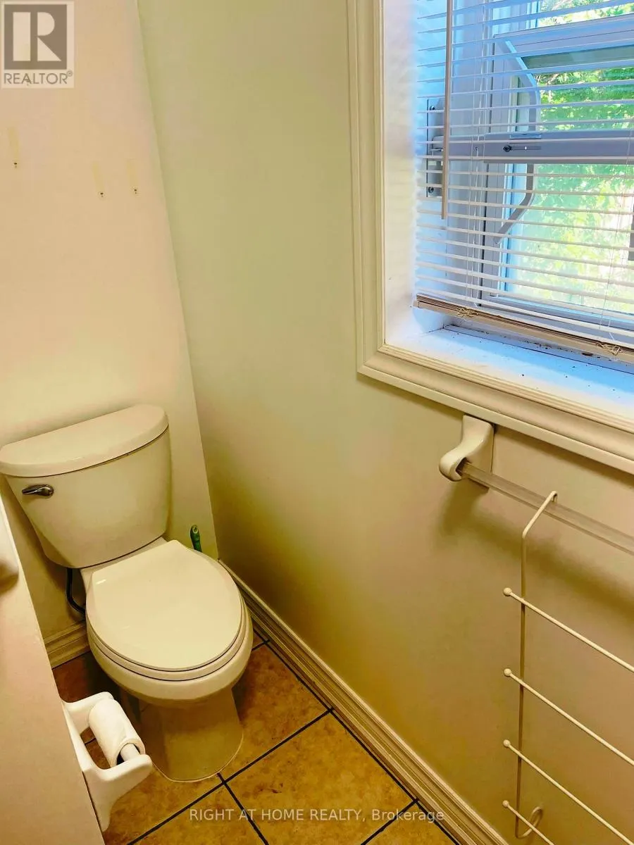 BASEMENT - 54 MEDLEY CRESCENT