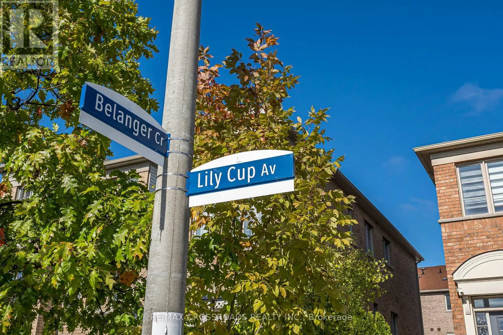 38 LILY CUP AVENUE