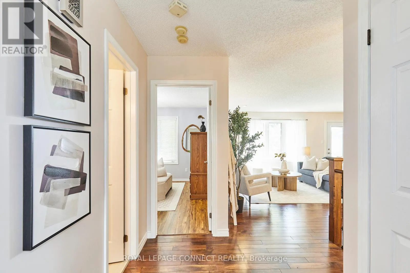 91A WILMOT TRAIL