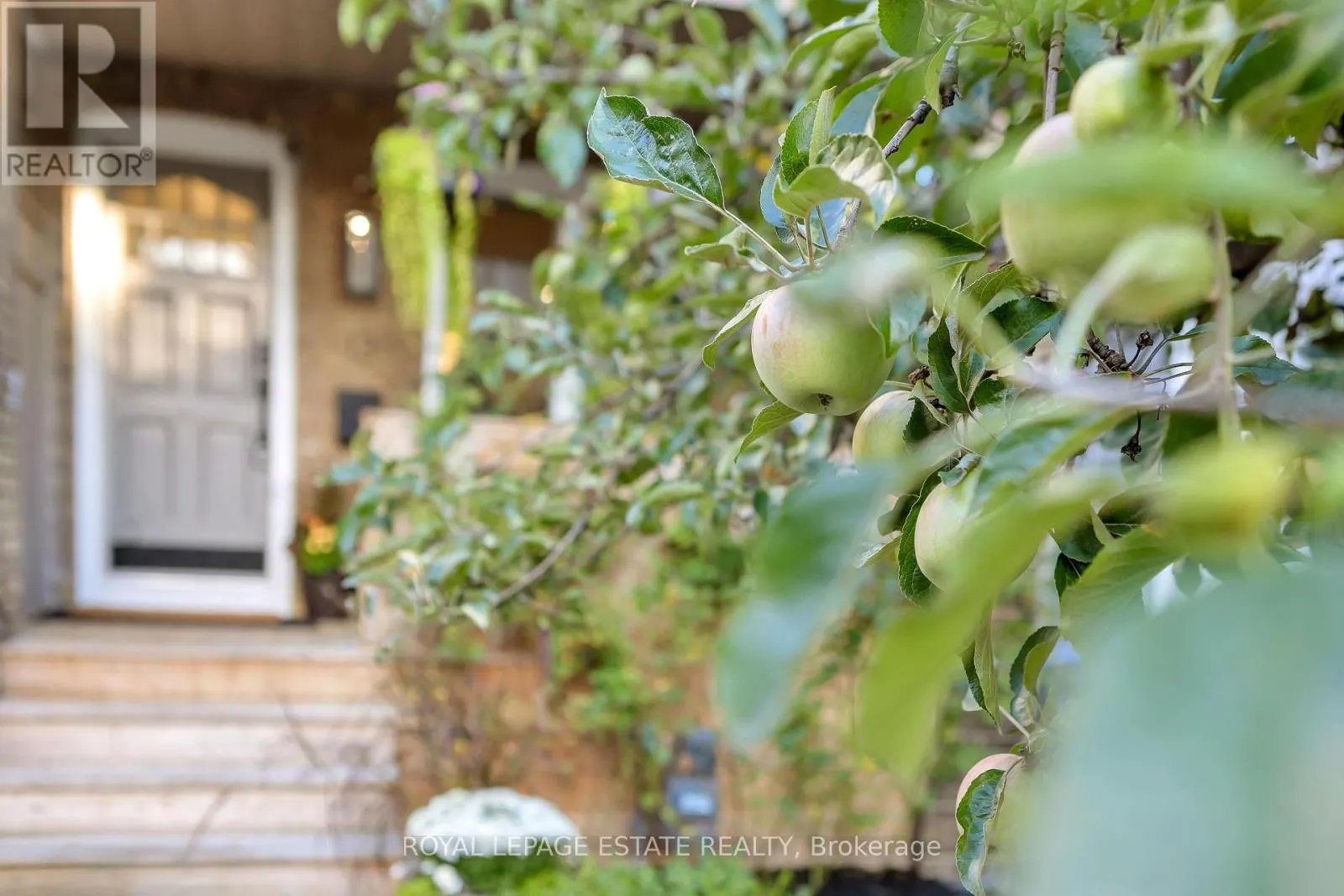 13 EASTDALE AVENUE