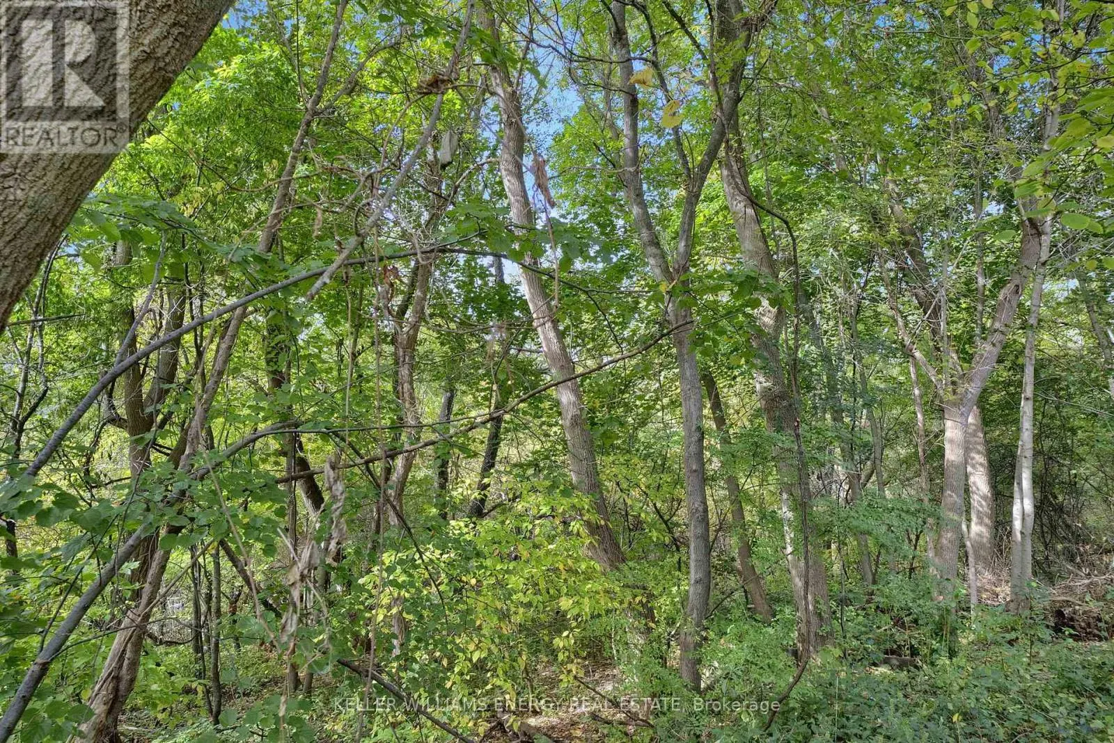 518 CAMELOT DRIVE