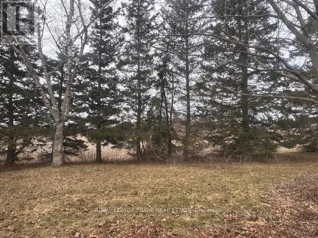 3725 CONCESSION 1 ROAD