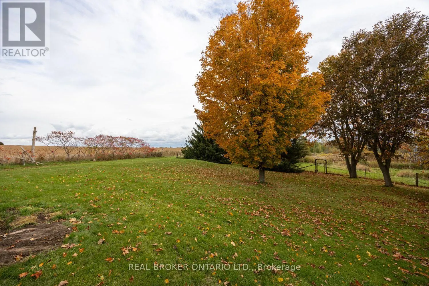 2295 REGIONAL ROAD 3