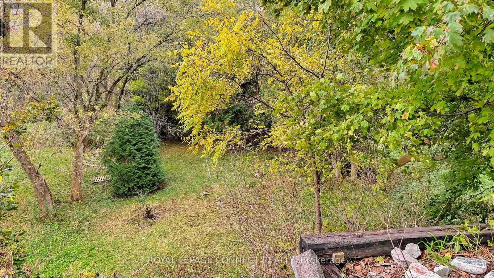 1406 OLD FOREST ROAD