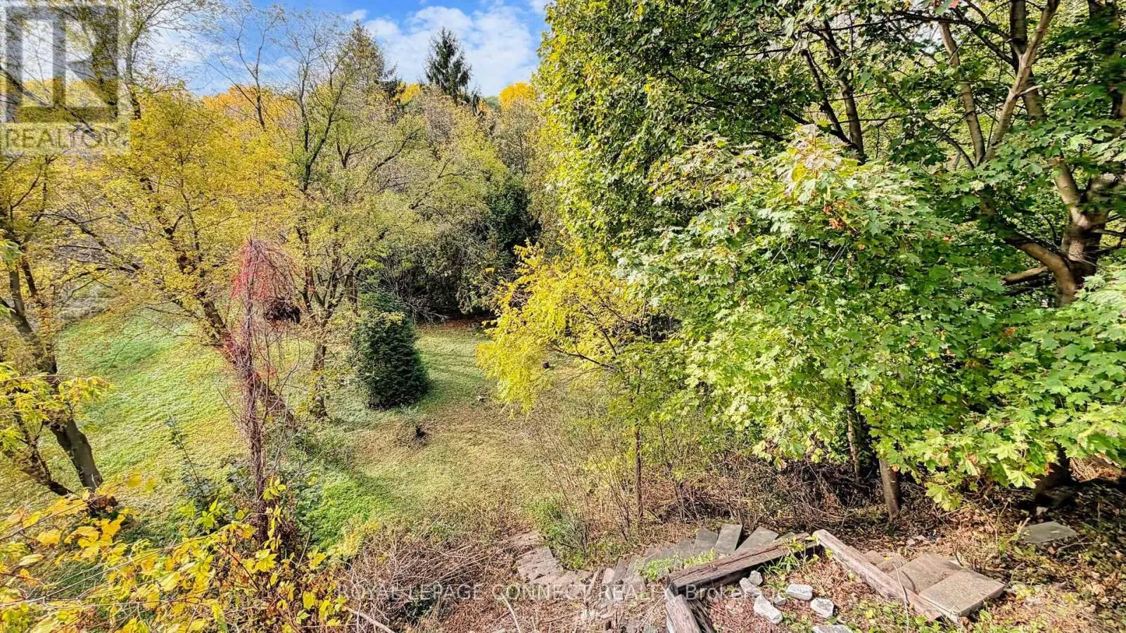 1406 OLD FOREST ROAD