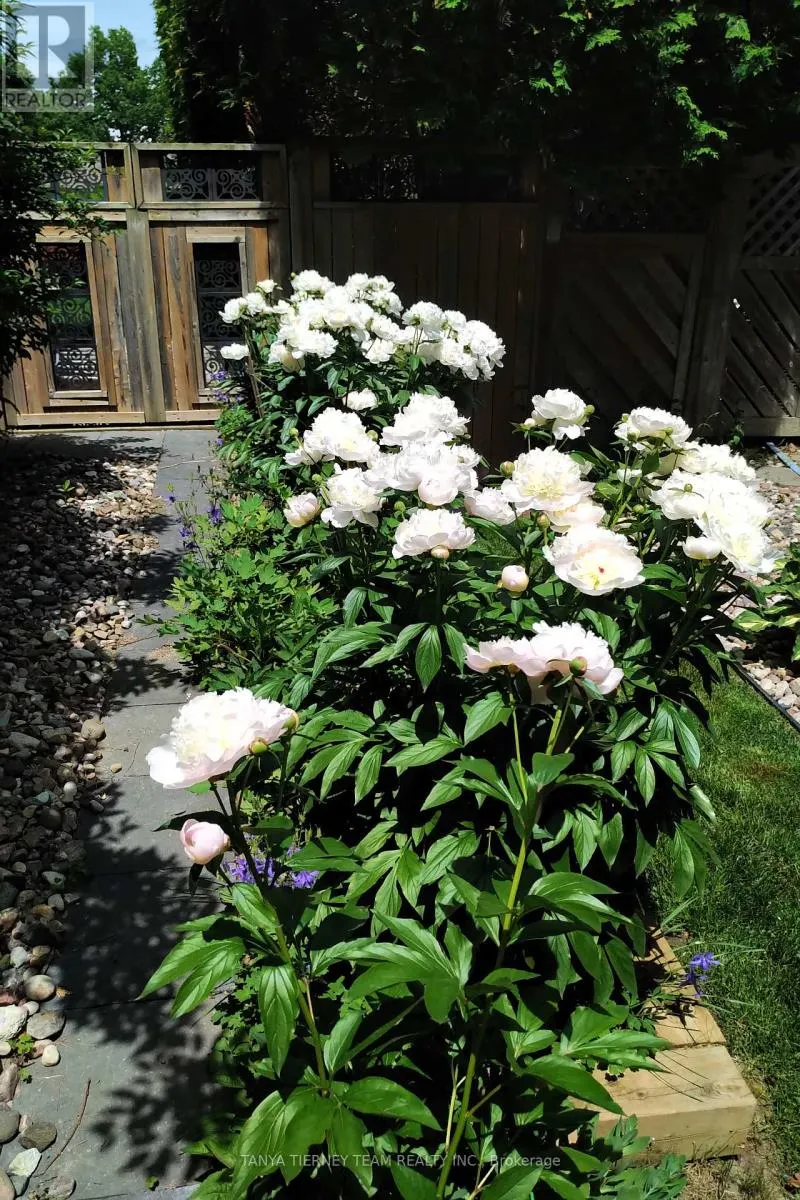 6 LYNDHURST CRESCENT