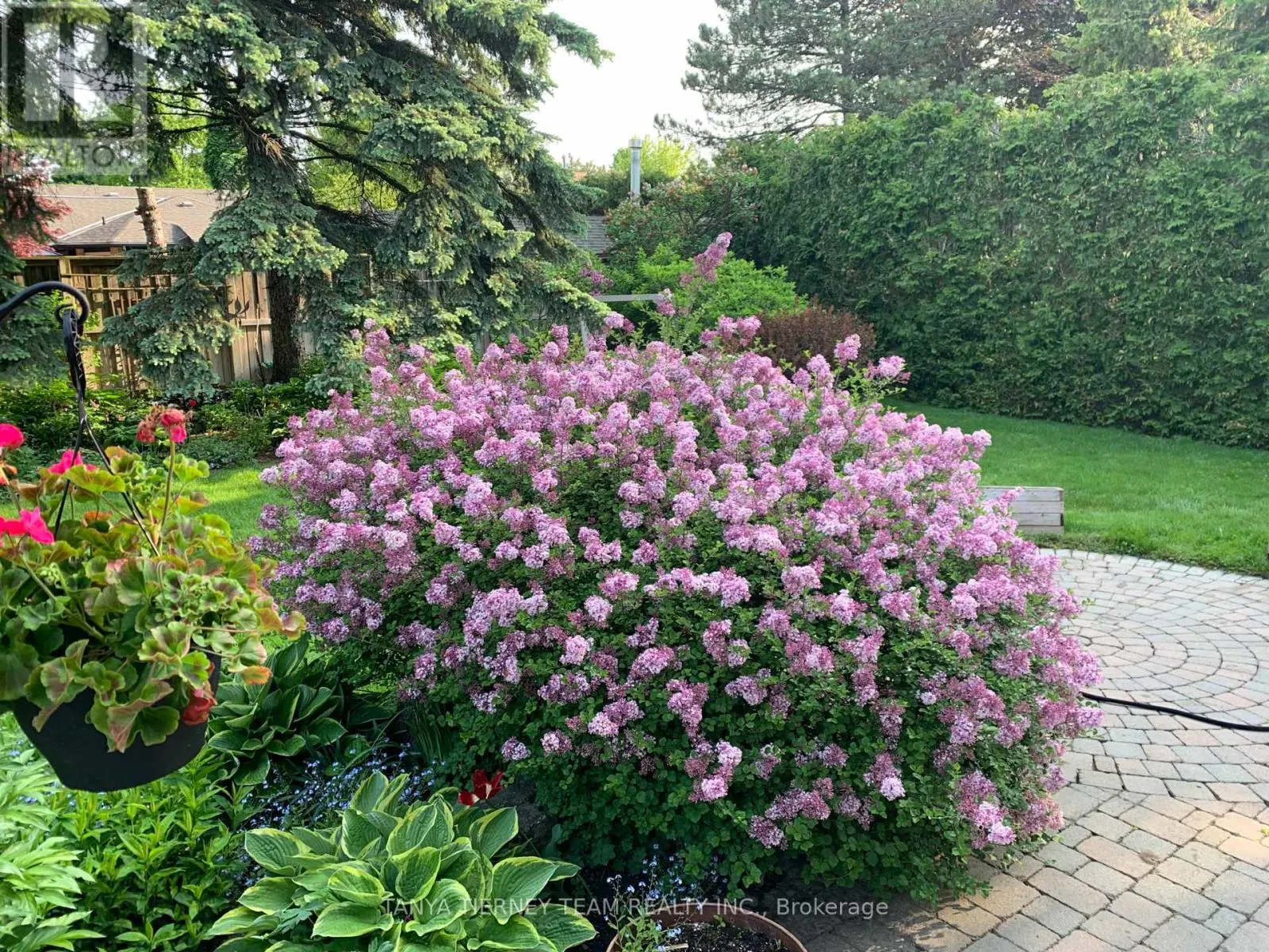 6 LYNDHURST CRESCENT