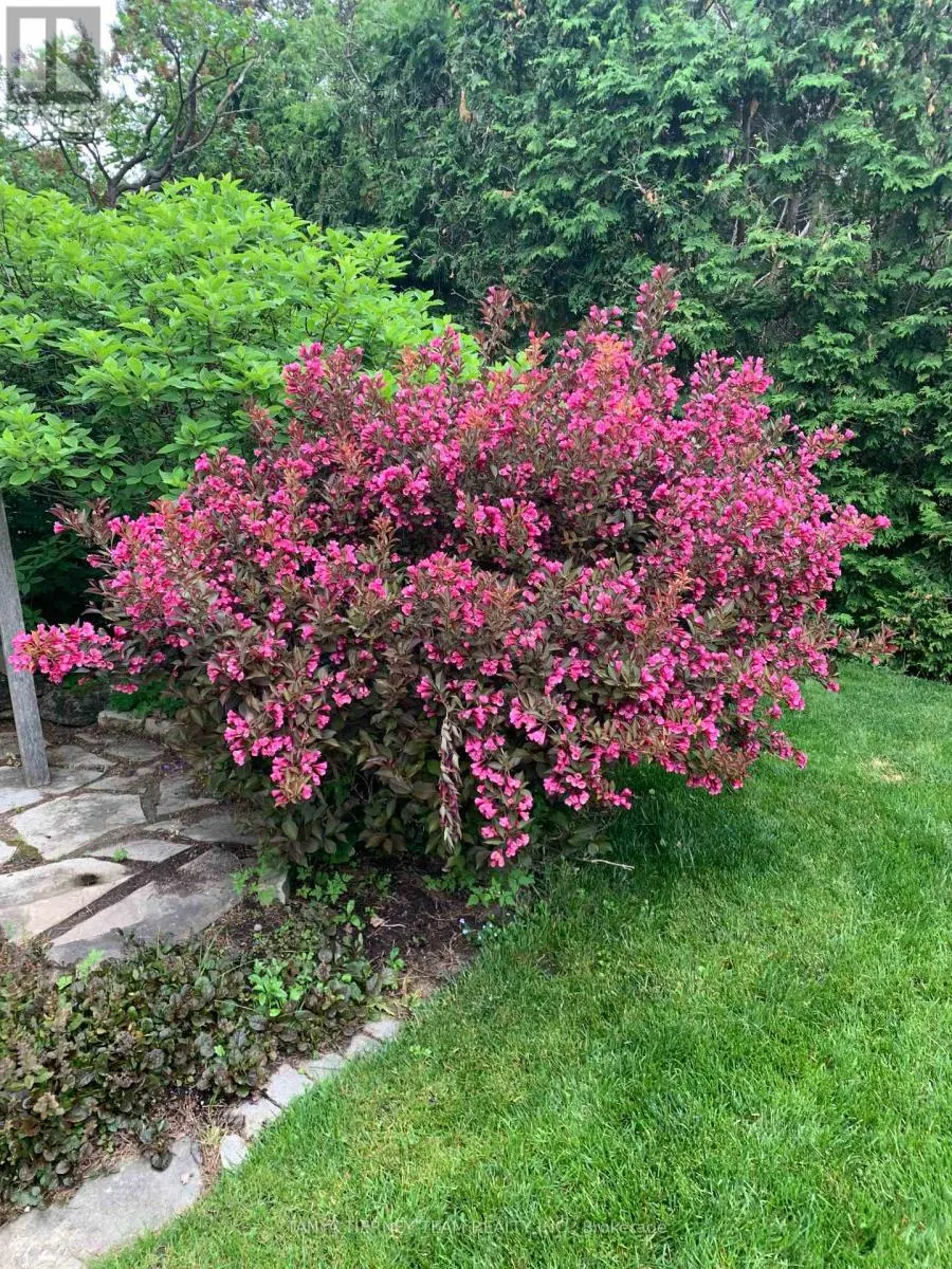 6 LYNDHURST CRESCENT