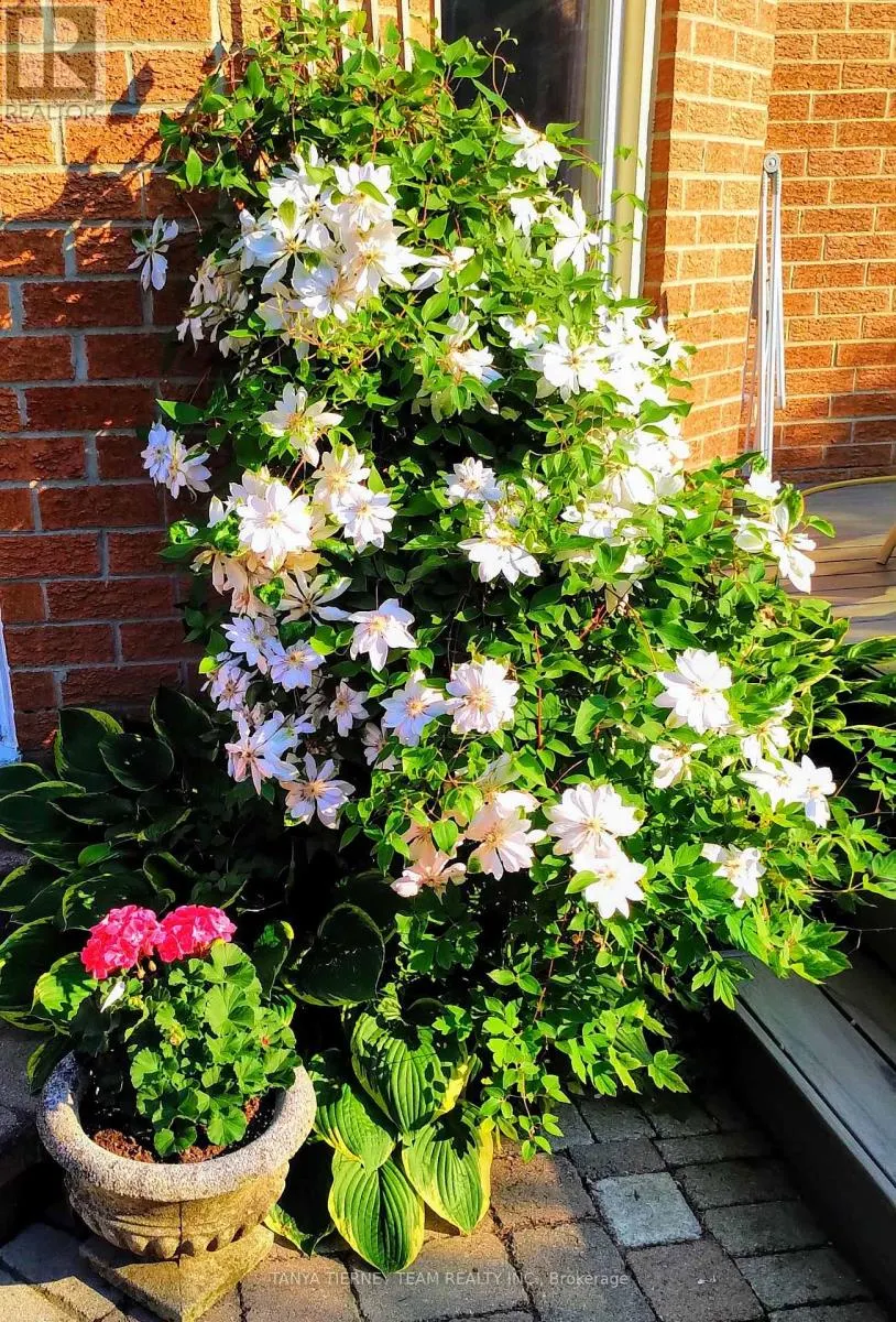 6 LYNDHURST CRESCENT