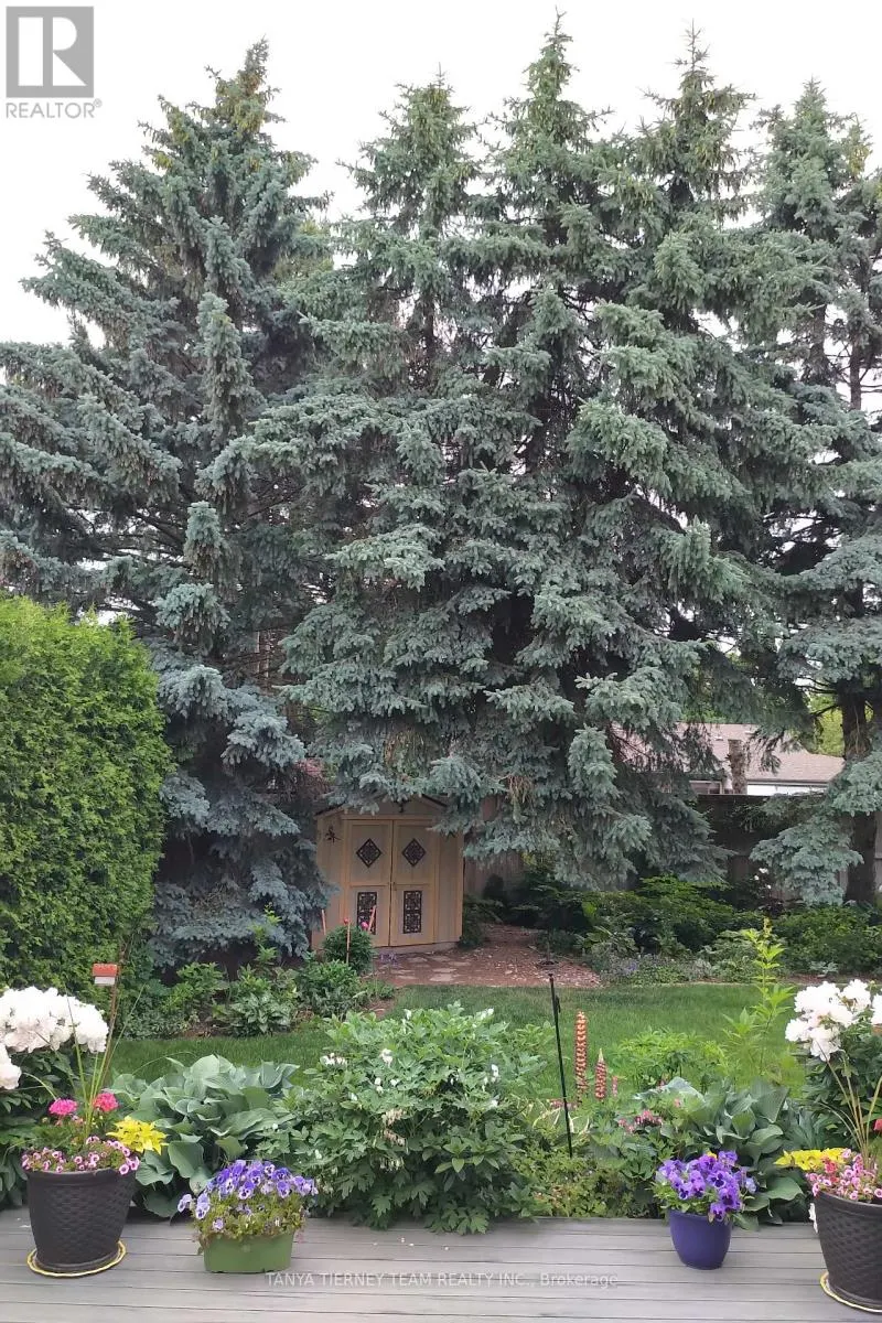 6 LYNDHURST CRESCENT