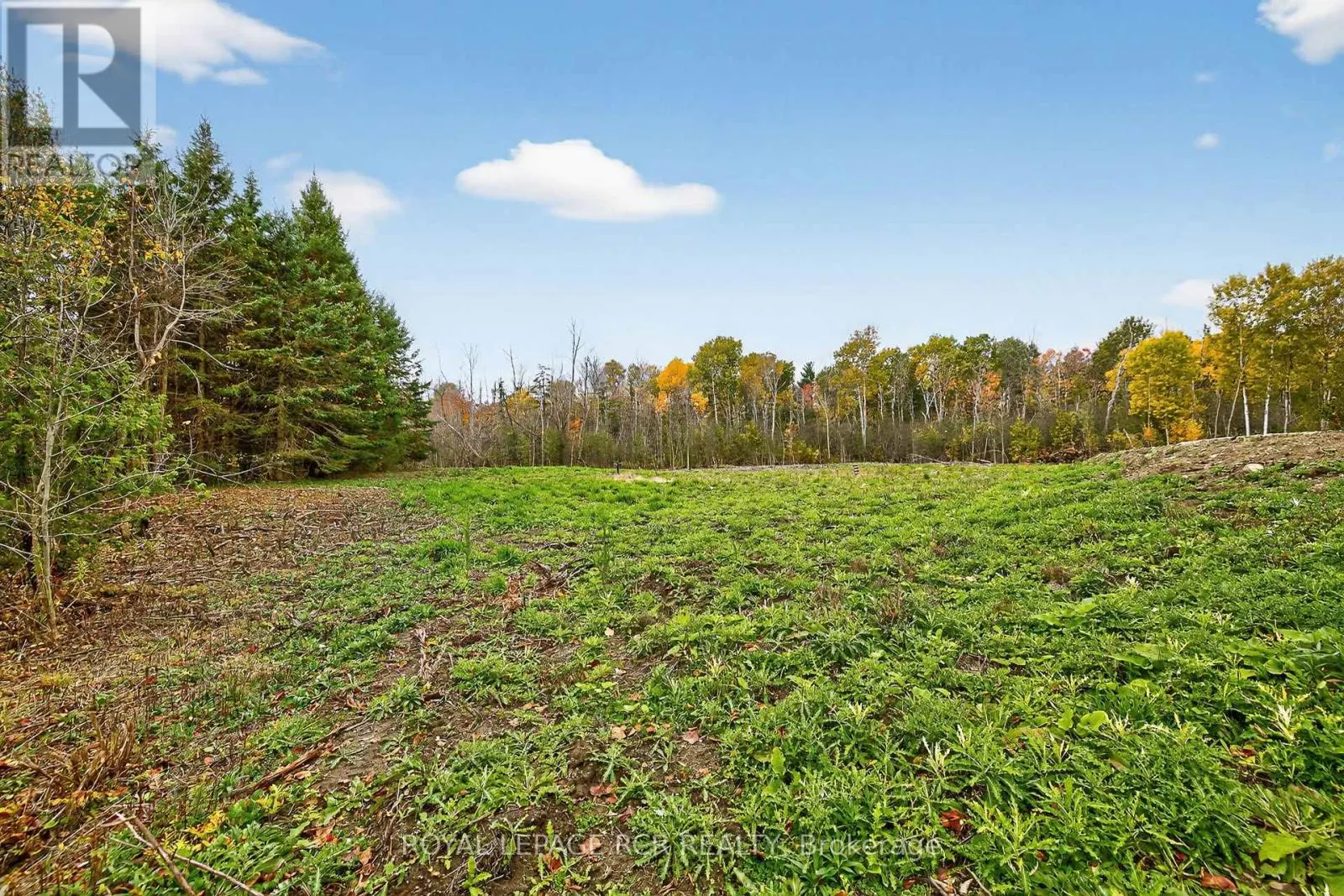 4560 ANDERSON ST STREET